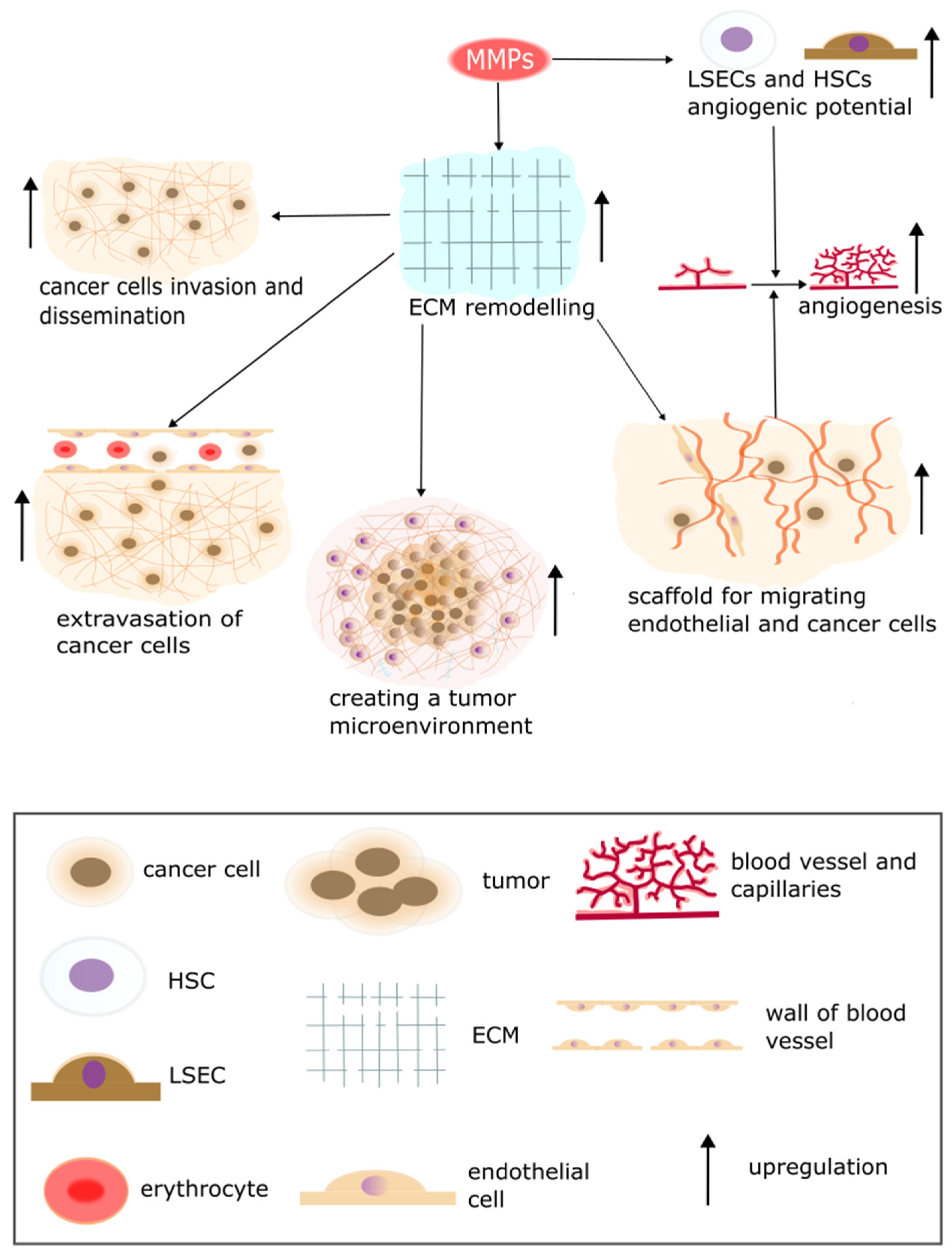 Pharmaceuticals 17 01251 g004