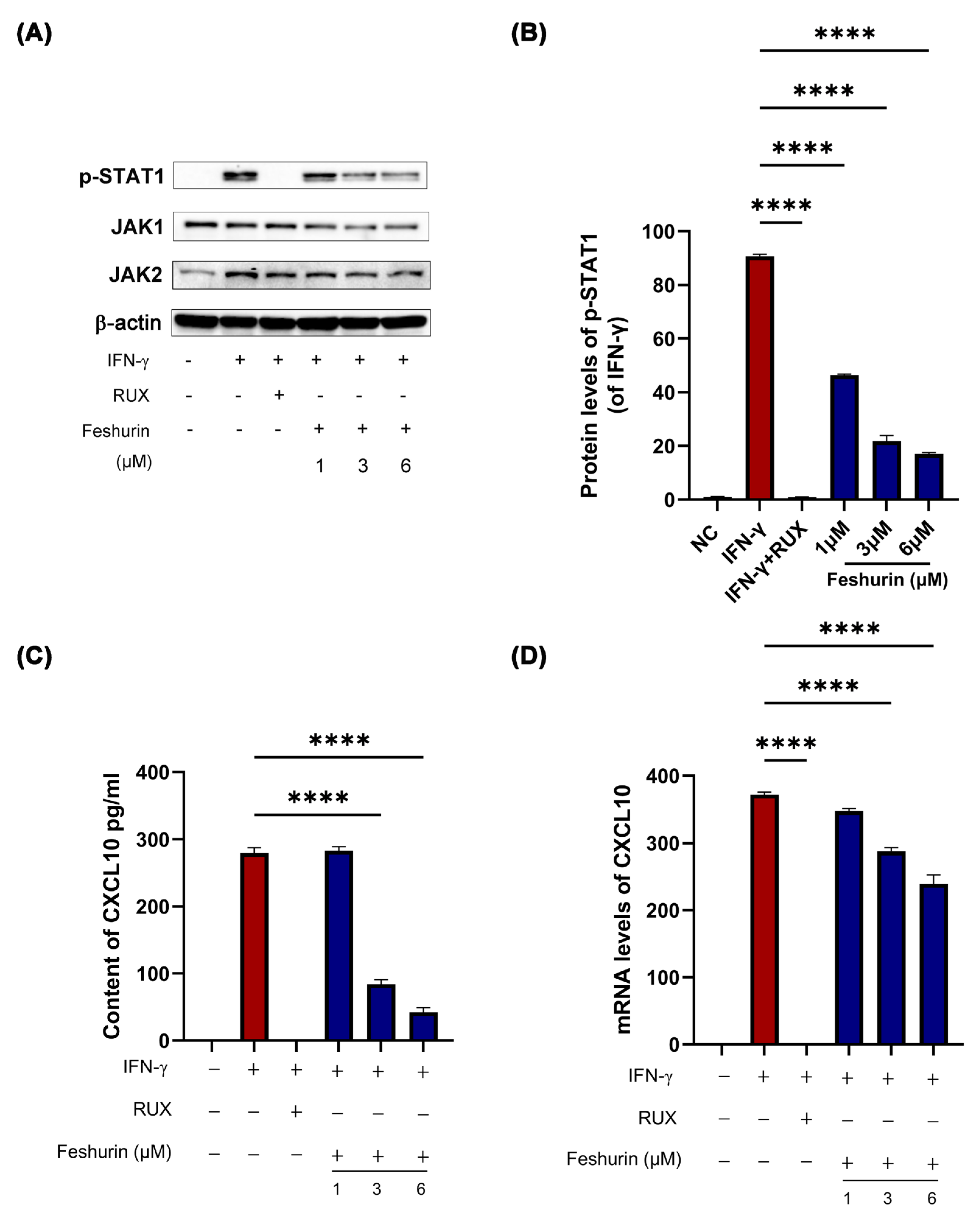 Pharmaceuticals 17 01252 g005