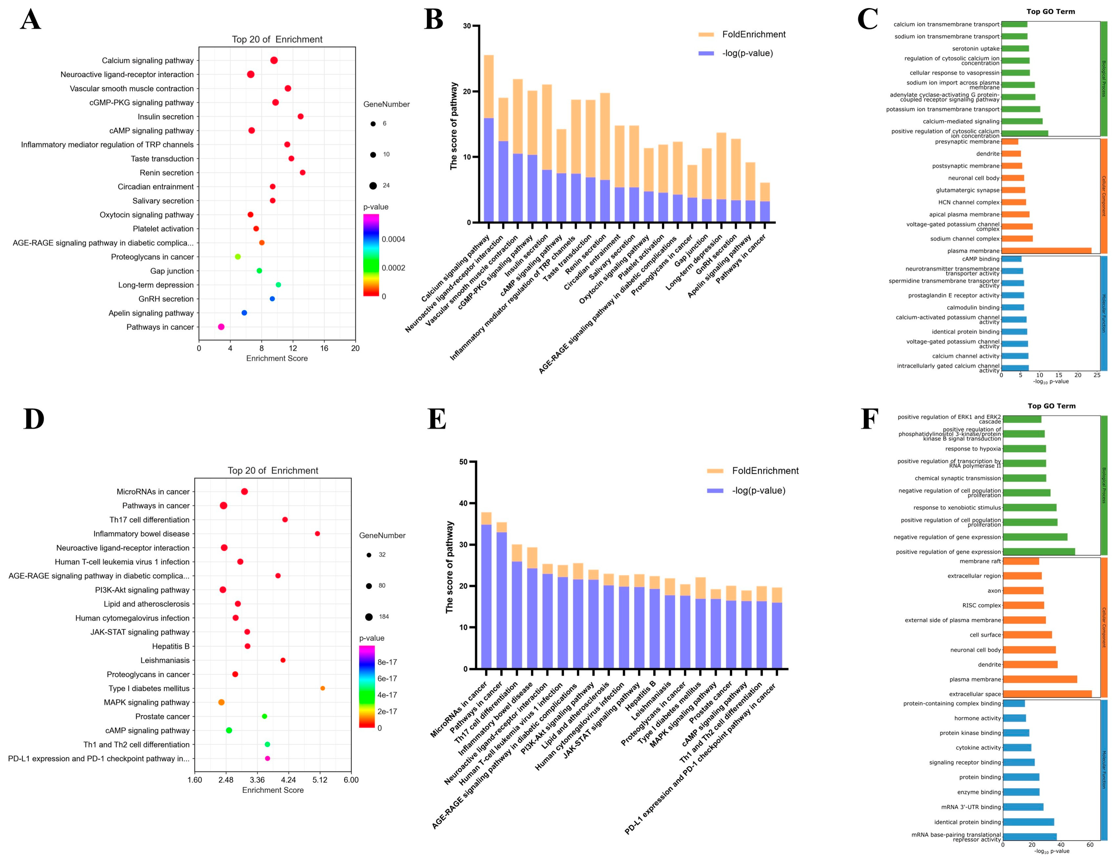 Pharmaceuticals 17 01253 g002