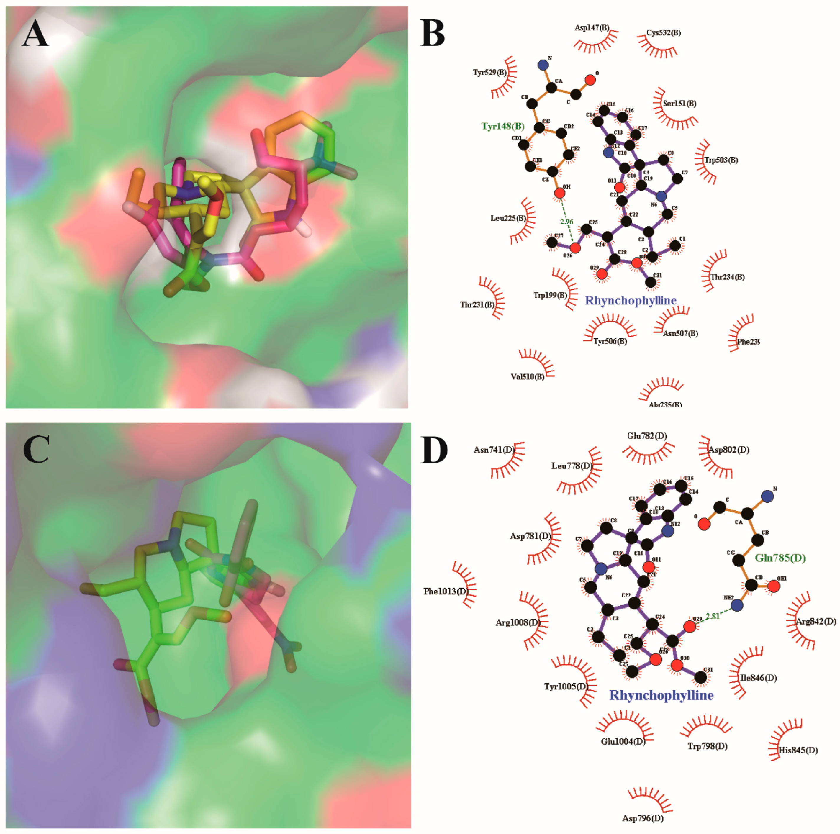 Pharmaceuticals 17 01253 g004