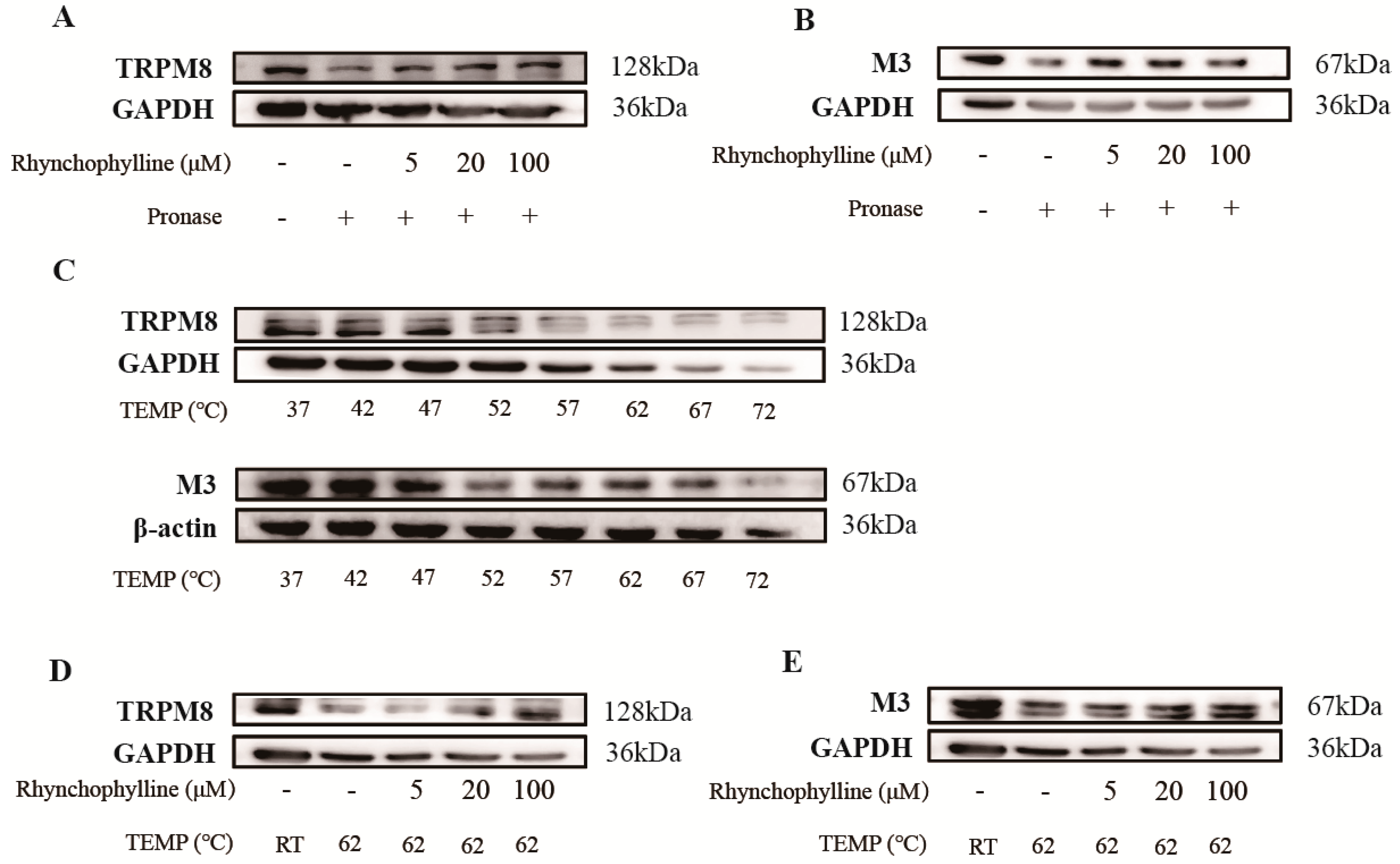 Pharmaceuticals 17 01253 g005