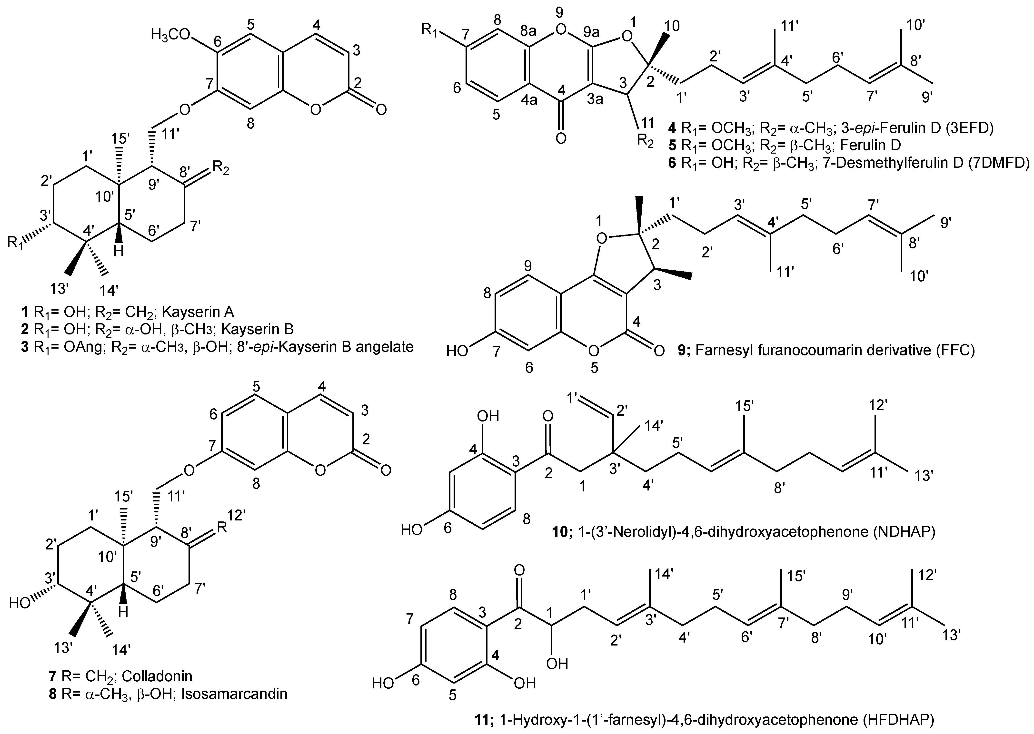 Pharmaceuticals 17 01254 g001 Pharmaceuticals 17 01254 g001
