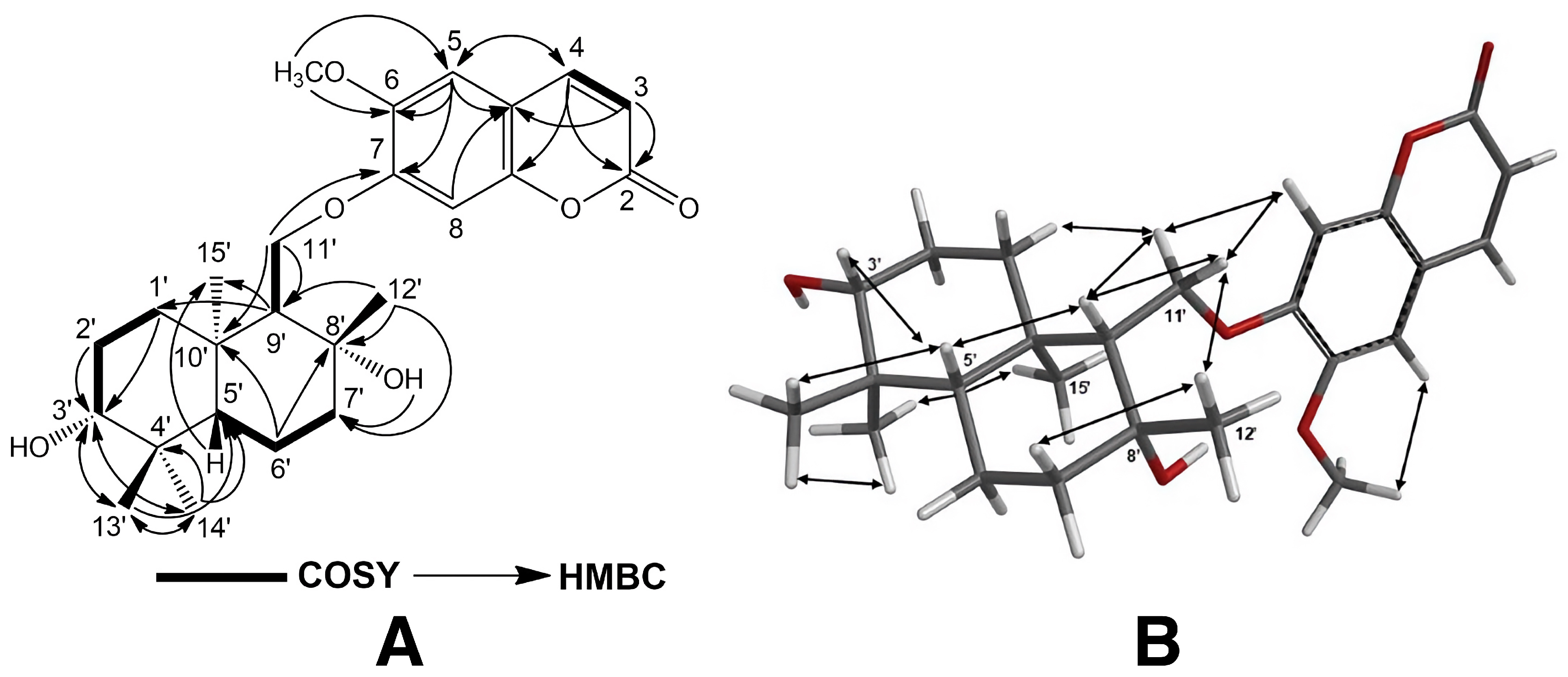 Pharmaceuticals 17 01254 g003 Pharmaceuticals 17 01254 g003