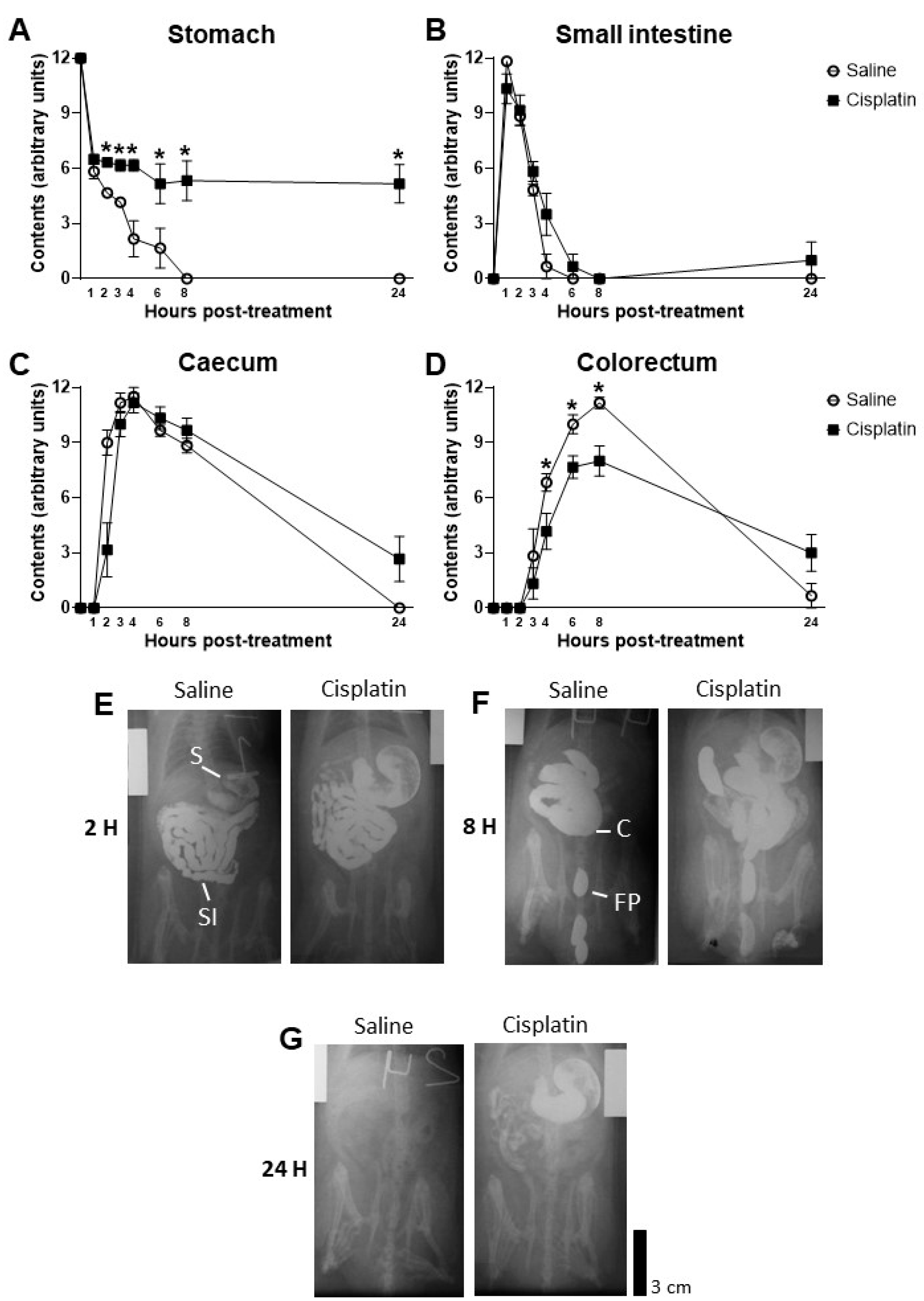 Pharmaceuticals 17 01256 g002