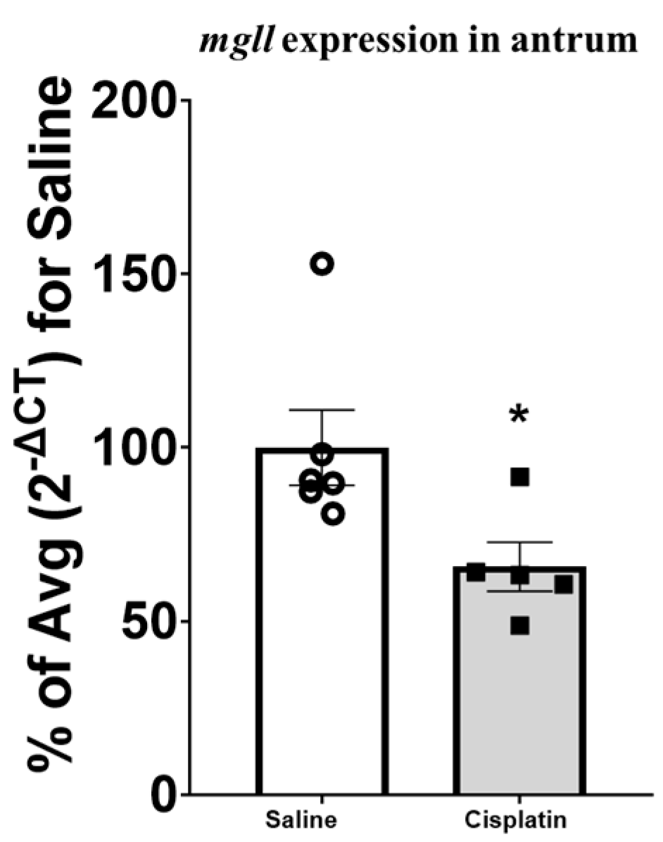 Pharmaceuticals 17 01256 g004