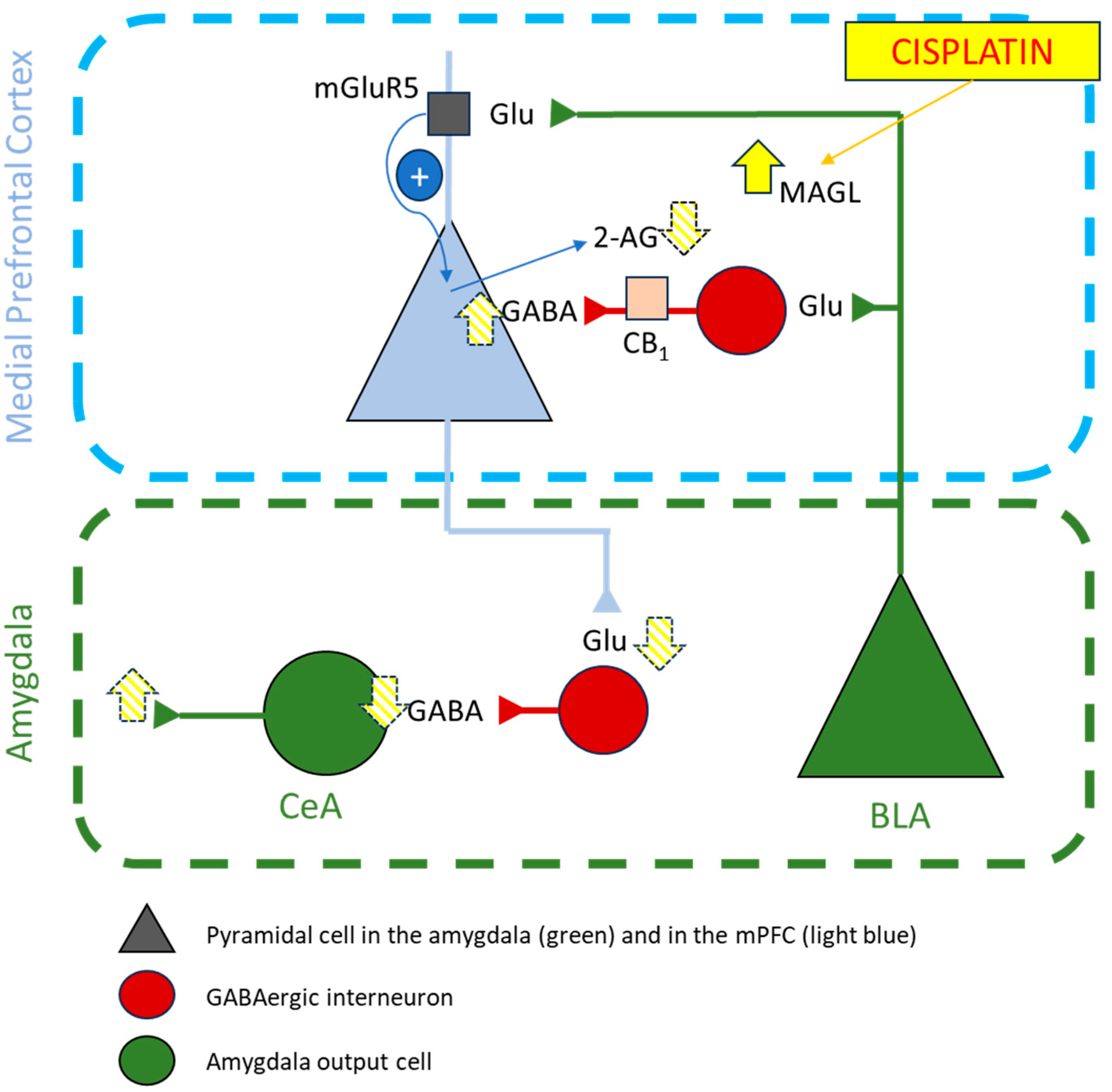 Pharmaceuticals 17 01256 g006