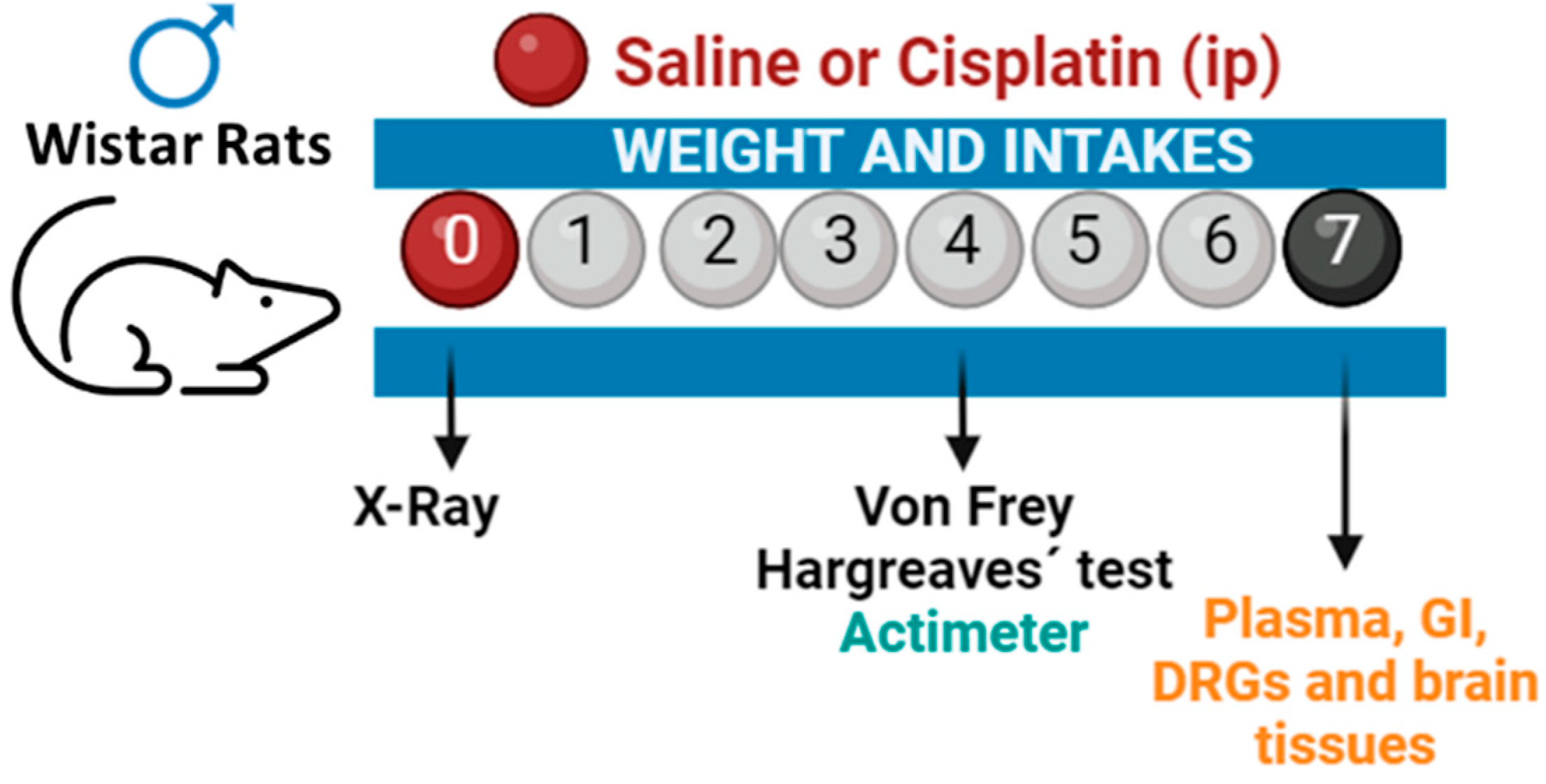 Pharmaceuticals 17 01256 g007