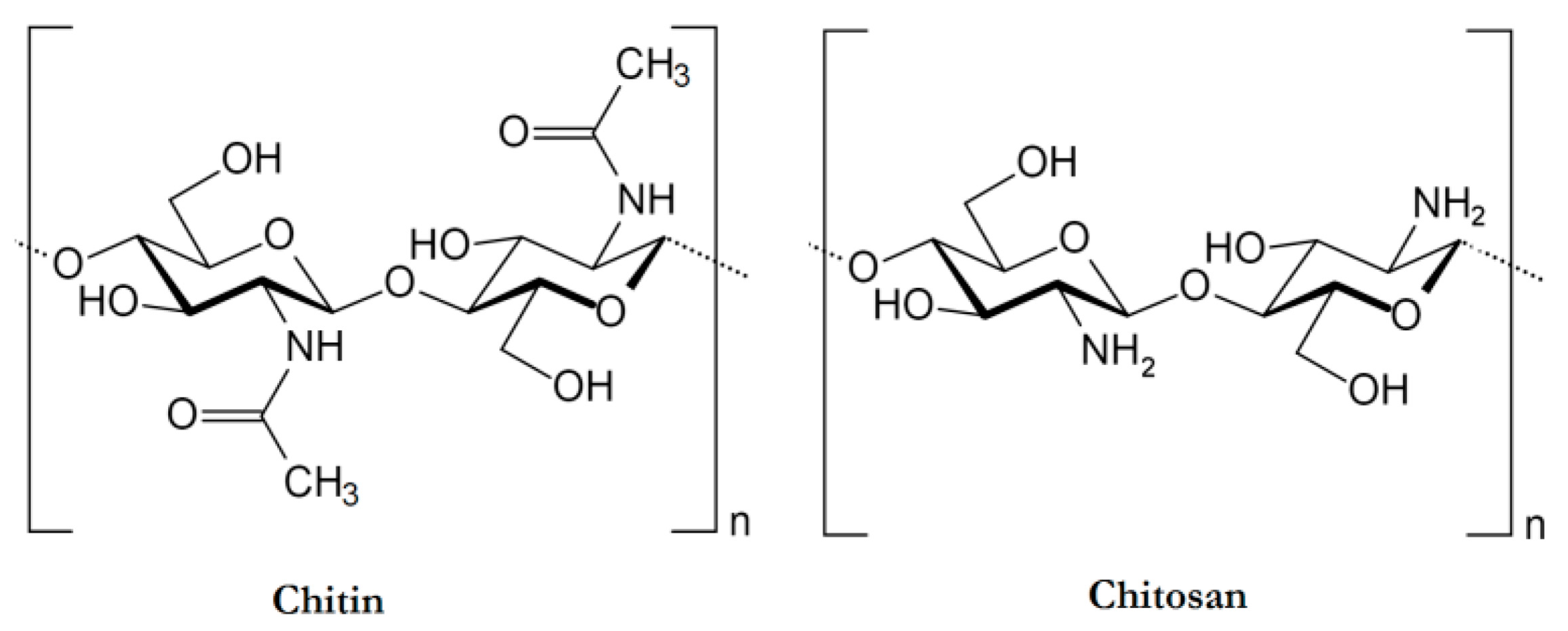 Pharmaceuticals 17 01260 g001