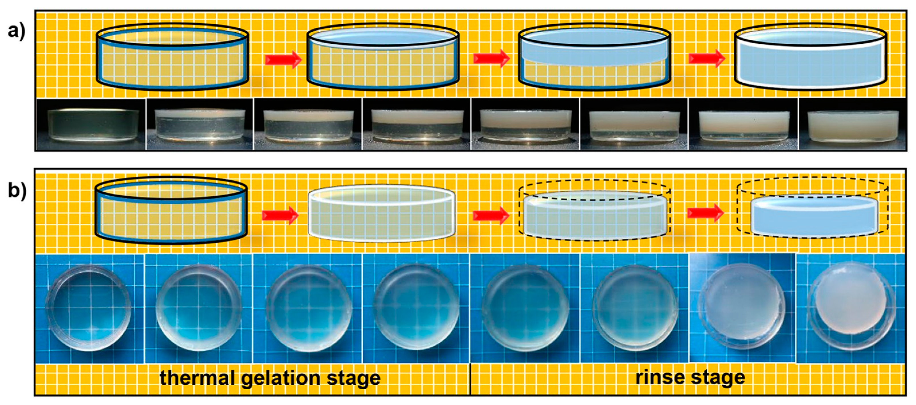 Pharmaceuticals 17 01260 g002
