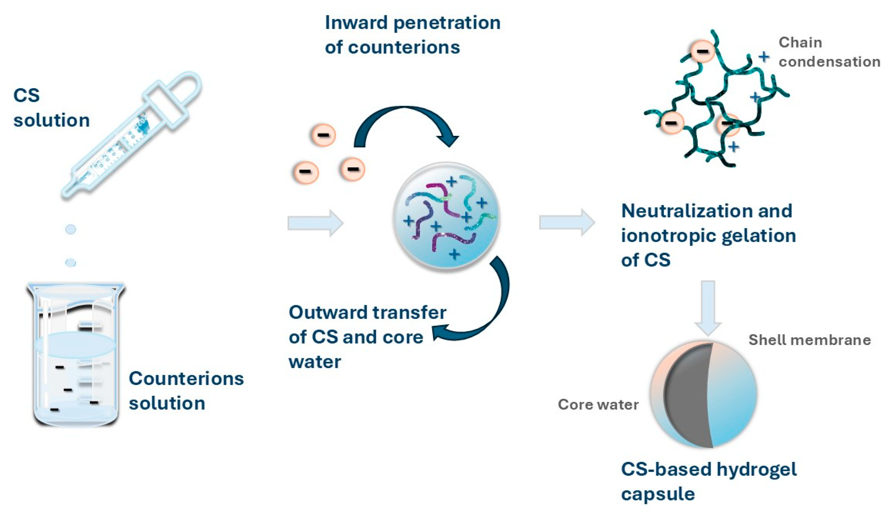 Pharmaceuticals 17 01260 g003