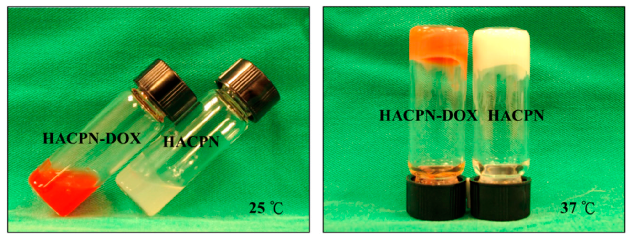 Pharmaceuticals 17 01260 g006