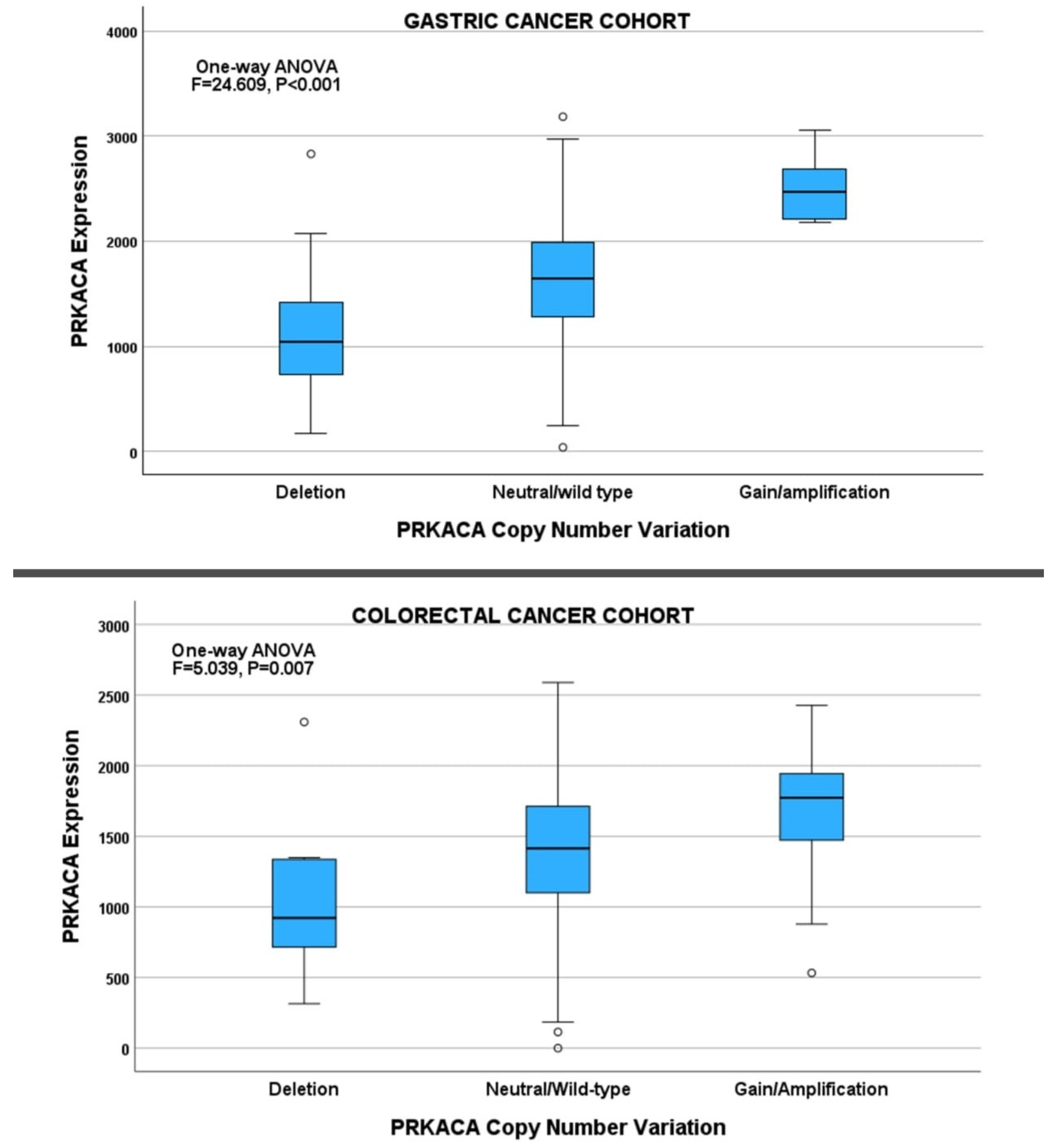 Pharmaceuticals 17 01263 g004