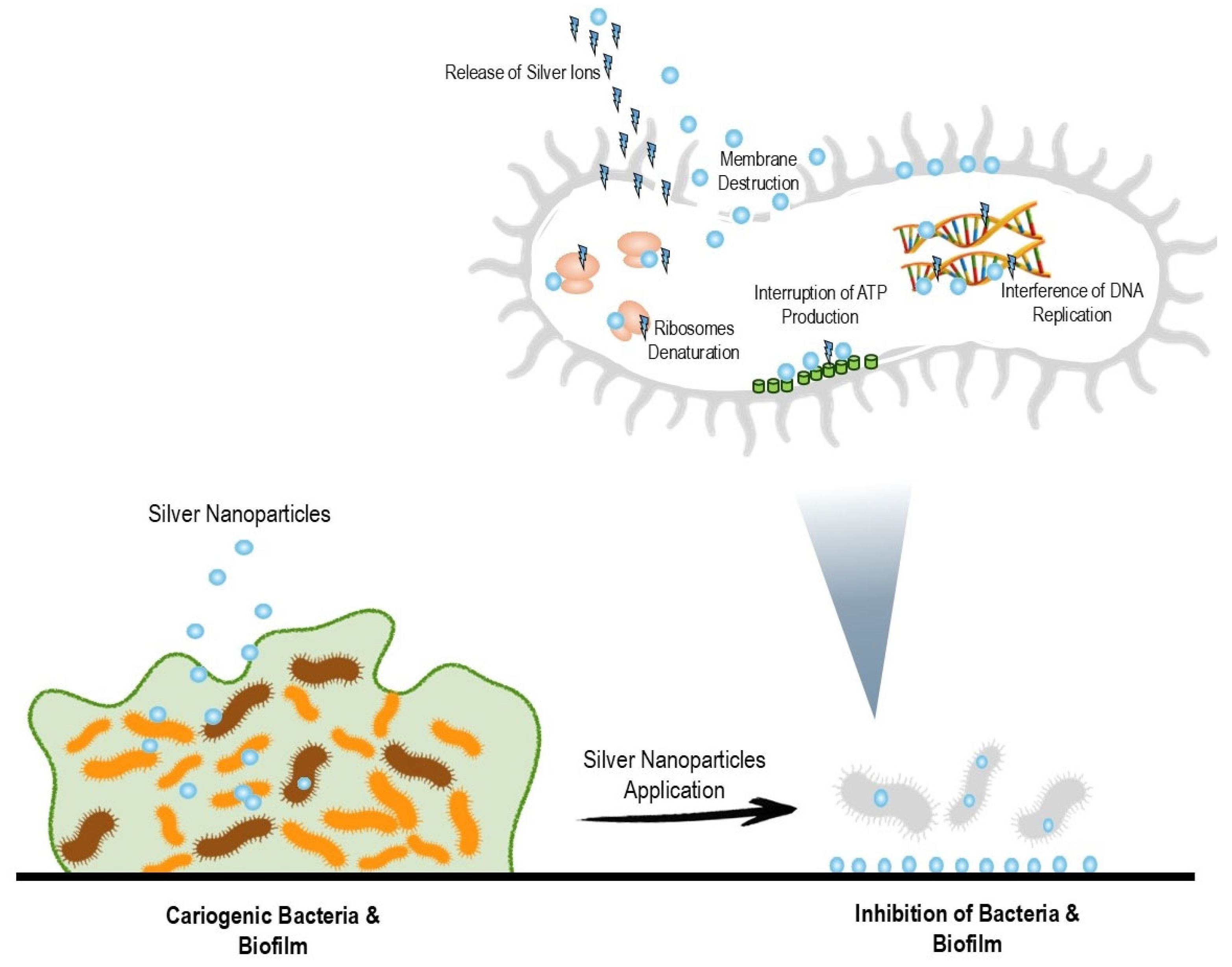 Pharmaceuticals 17 01264 g001