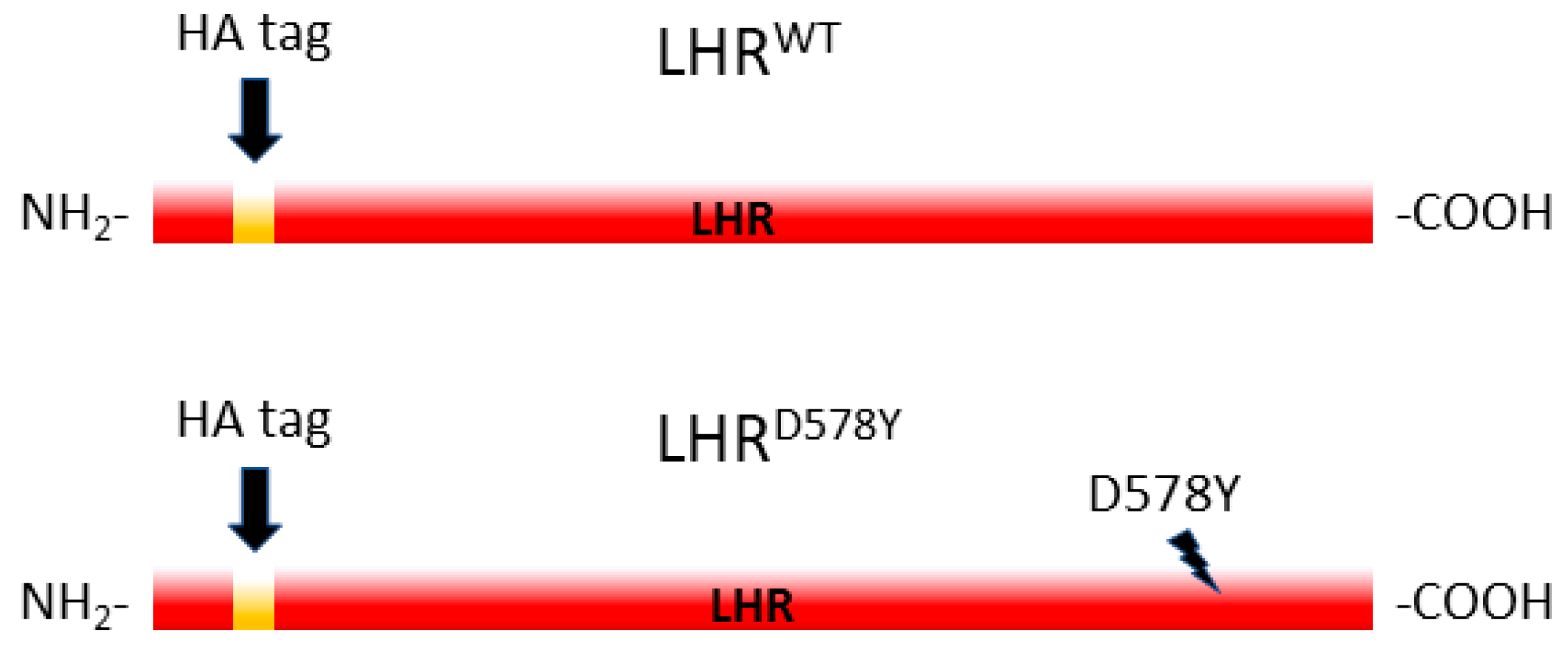 Pharmaceuticals 17 01267 g001