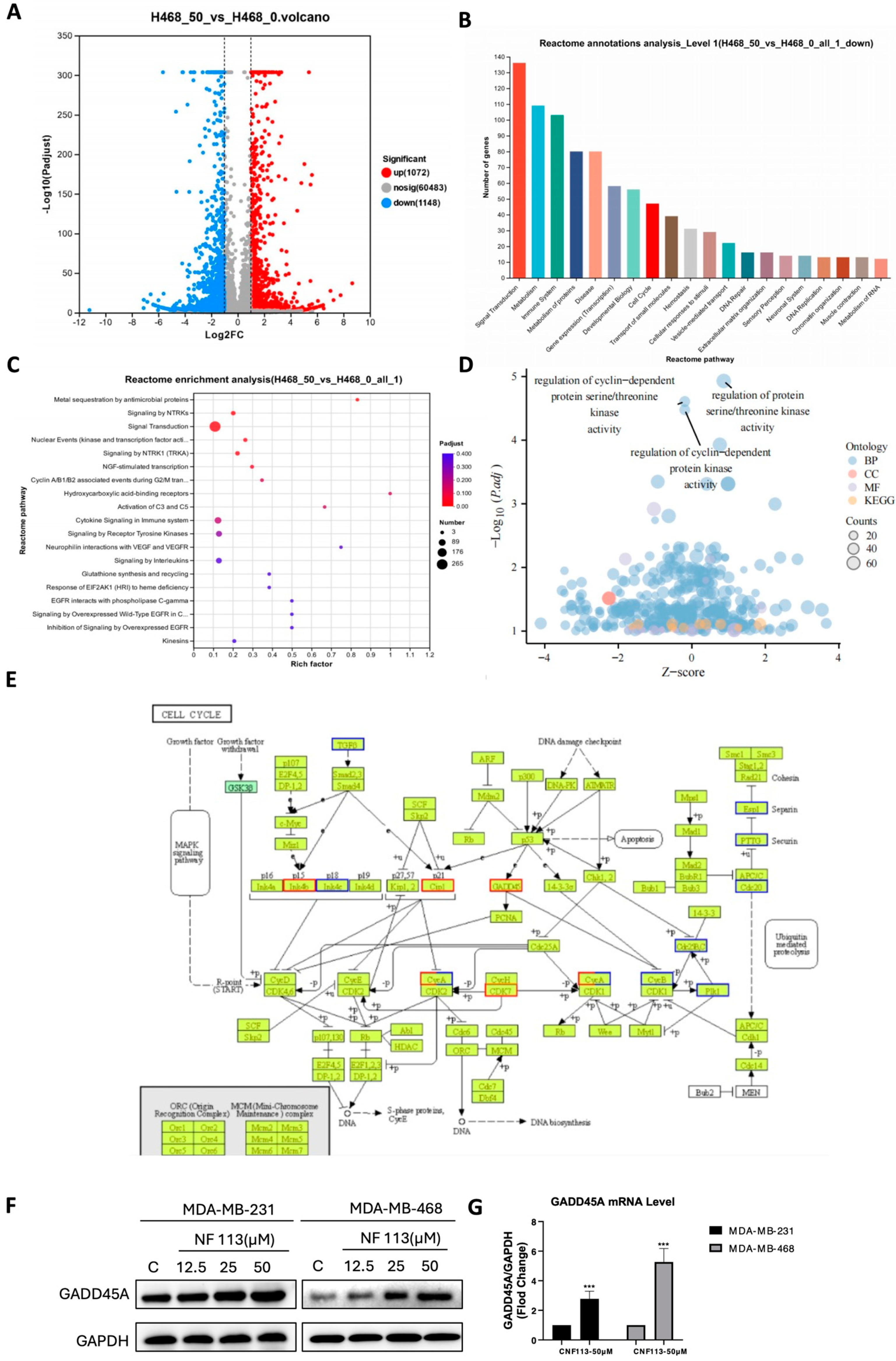 Pharmaceuticals 17 01269 g004