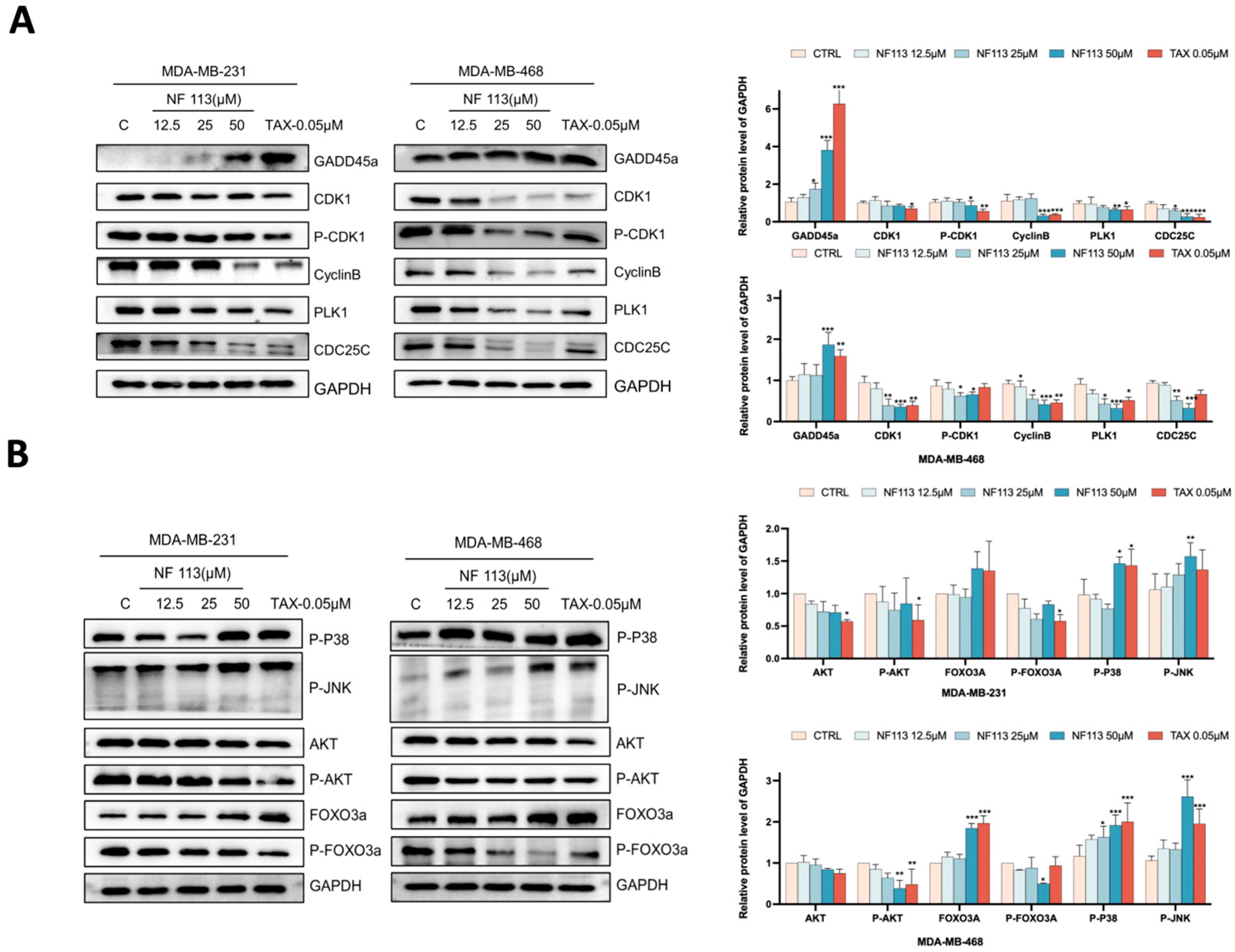 Pharmaceuticals 17 01269 g005