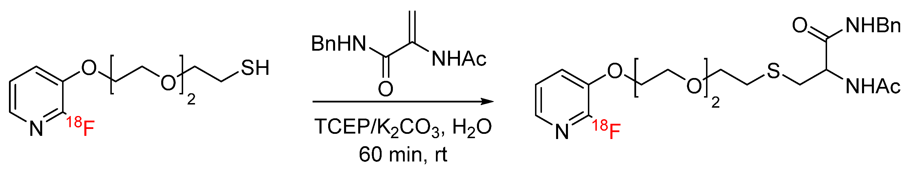 Pharmaceuticals 17 01270 g008