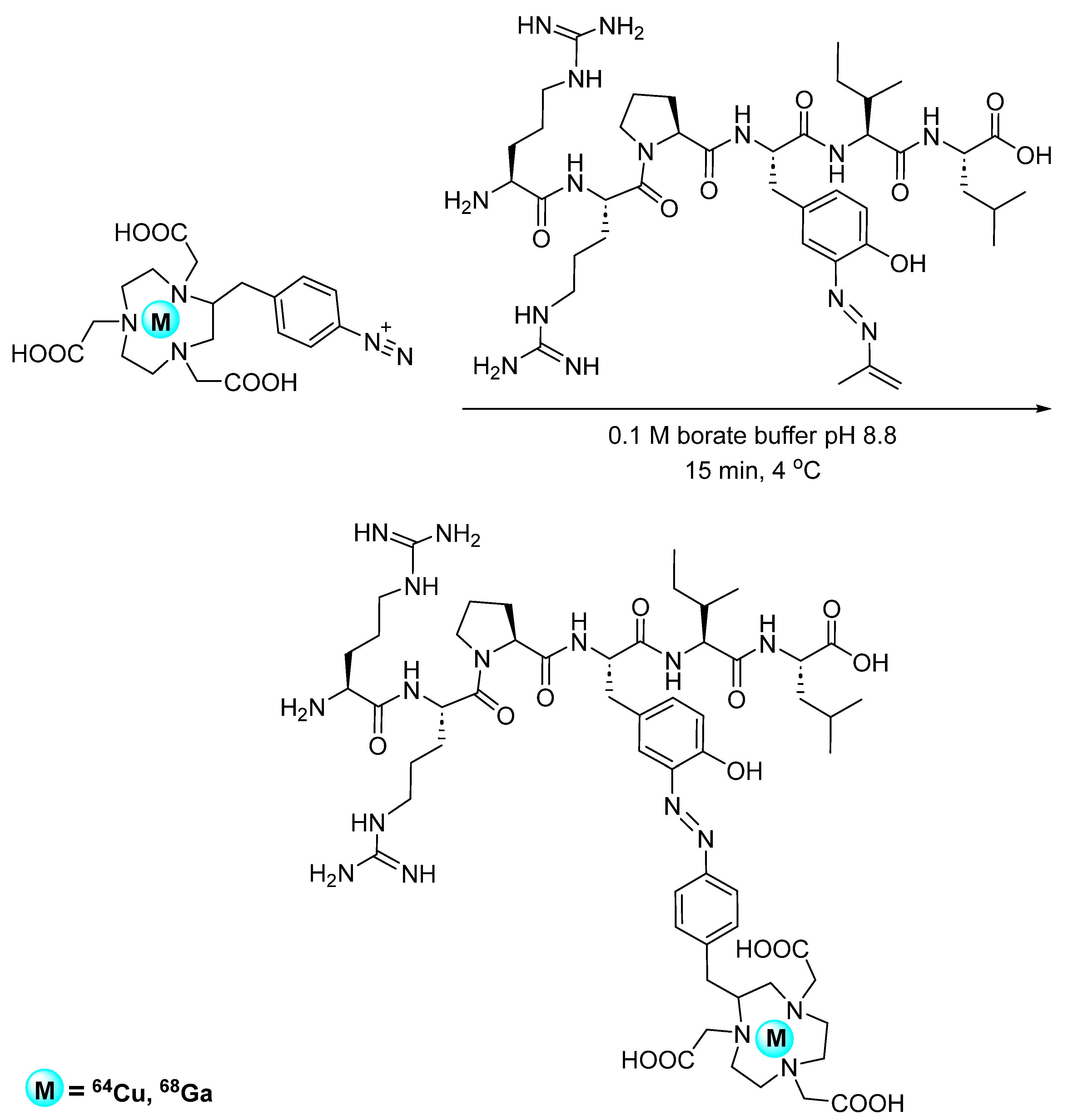 Pharmaceuticals 17 01270 g012