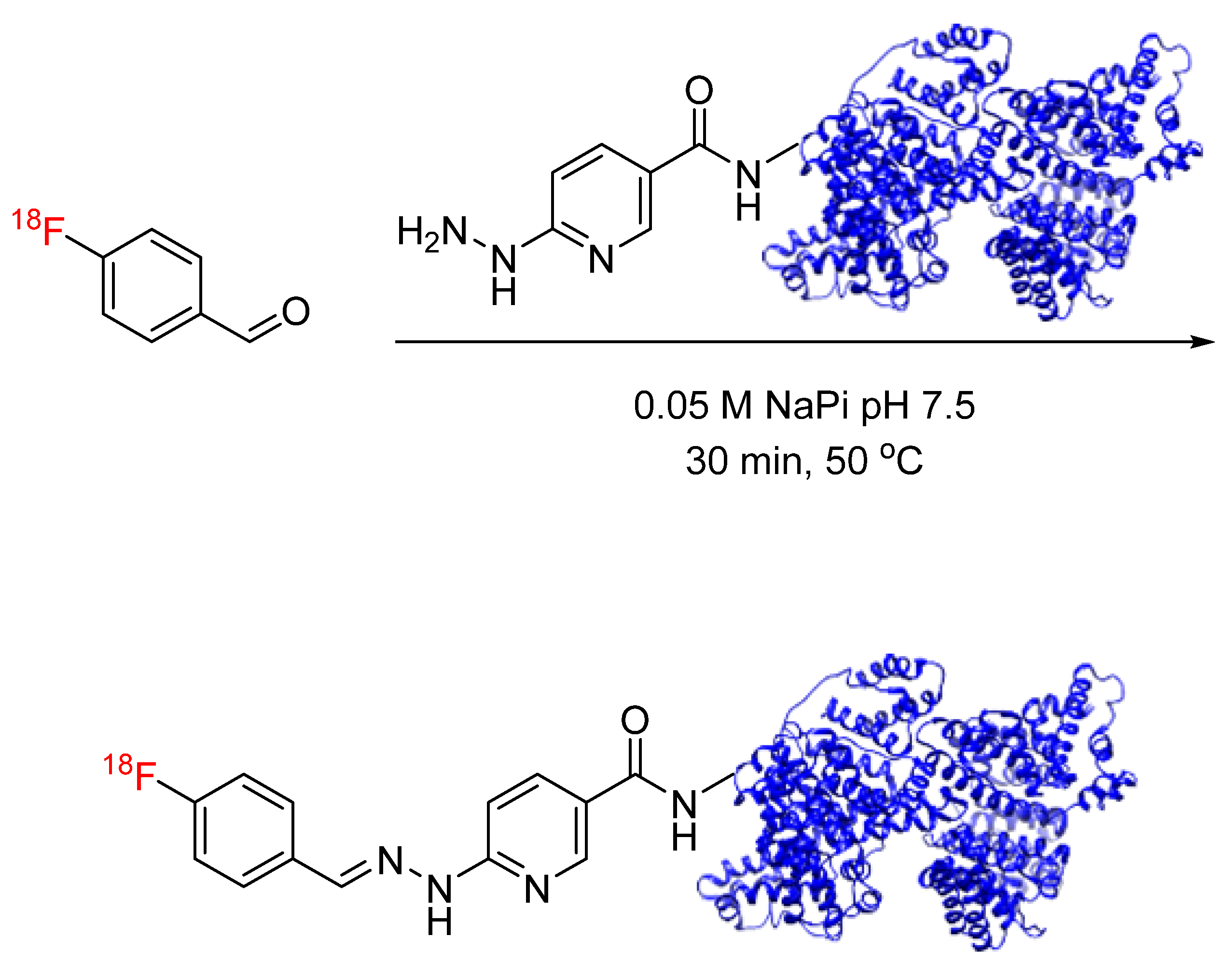 Pharmaceuticals 17 01270 g013