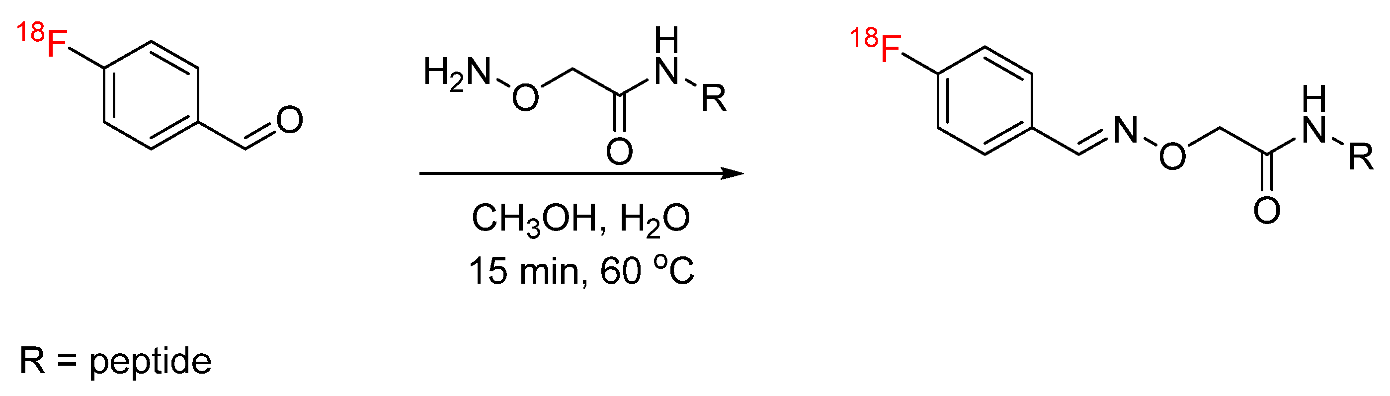 Pharmaceuticals 17 01270 g016
