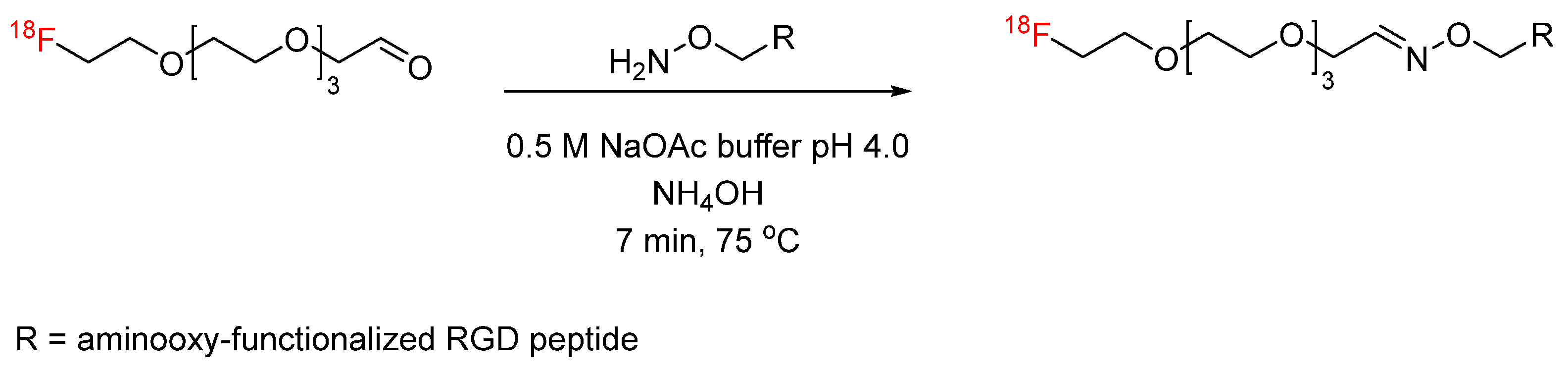 Pharmaceuticals 17 01270 g017