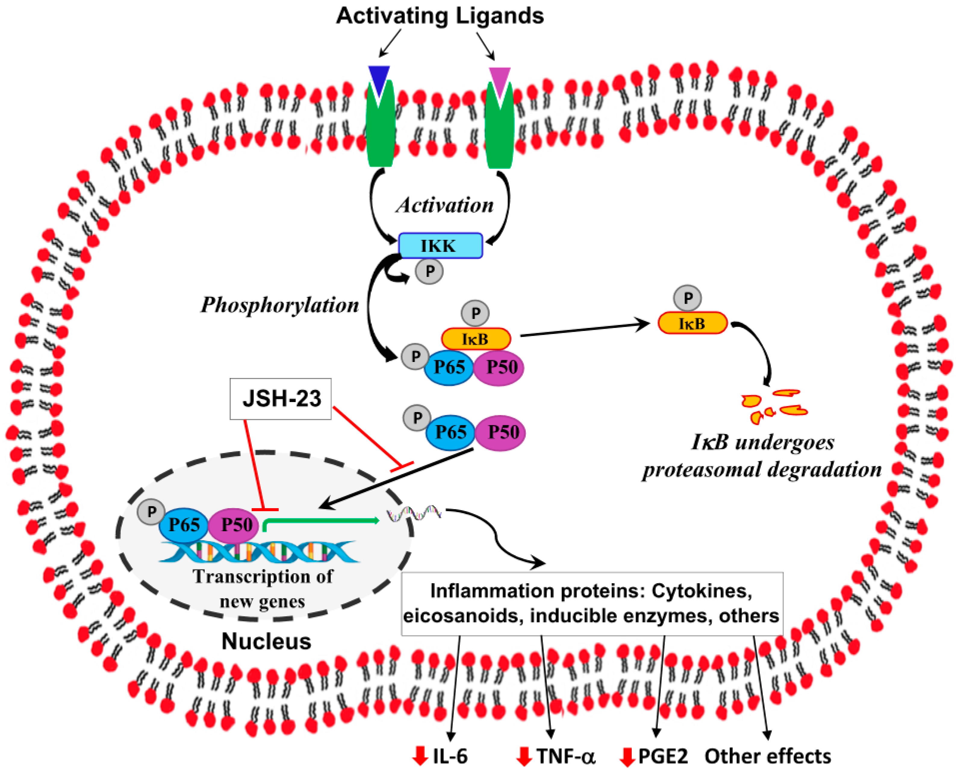 Pharmaceuticals 17 01271 g001 Pharmaceuticals 17 01271 g001