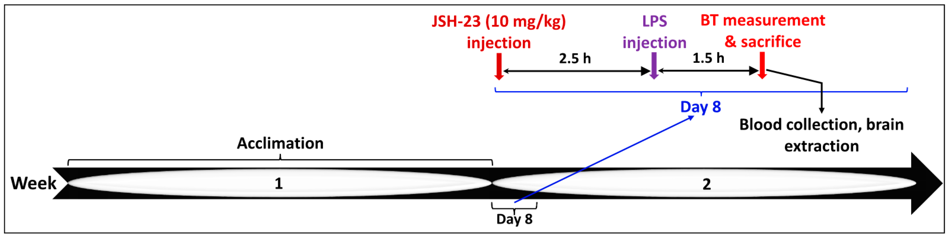 Pharmaceuticals 17 01271 g011 Pharmaceuticals 17 01271 g011