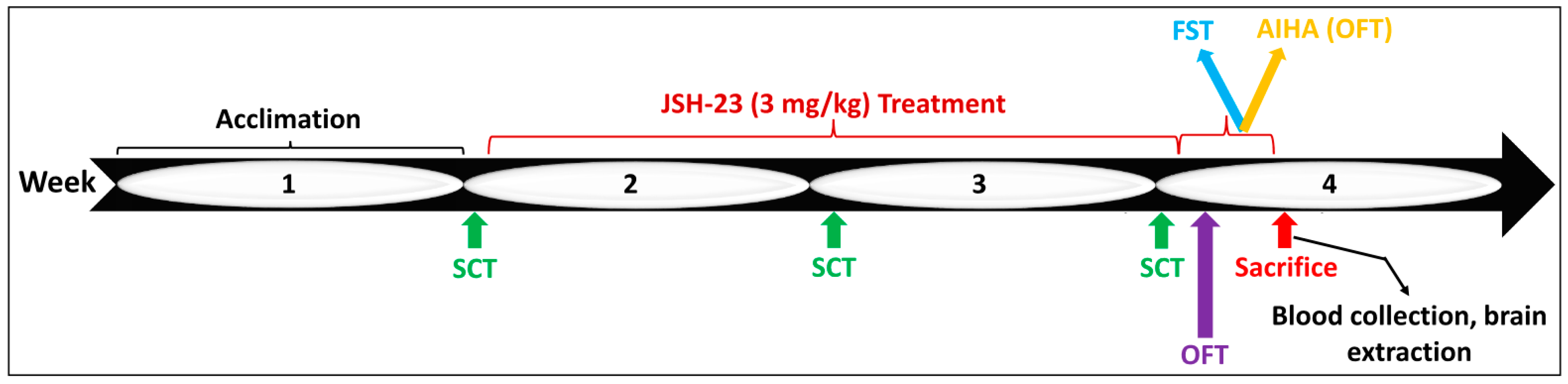 Pharmaceuticals 17 01271 g012 Pharmaceuticals 17 01271 g012