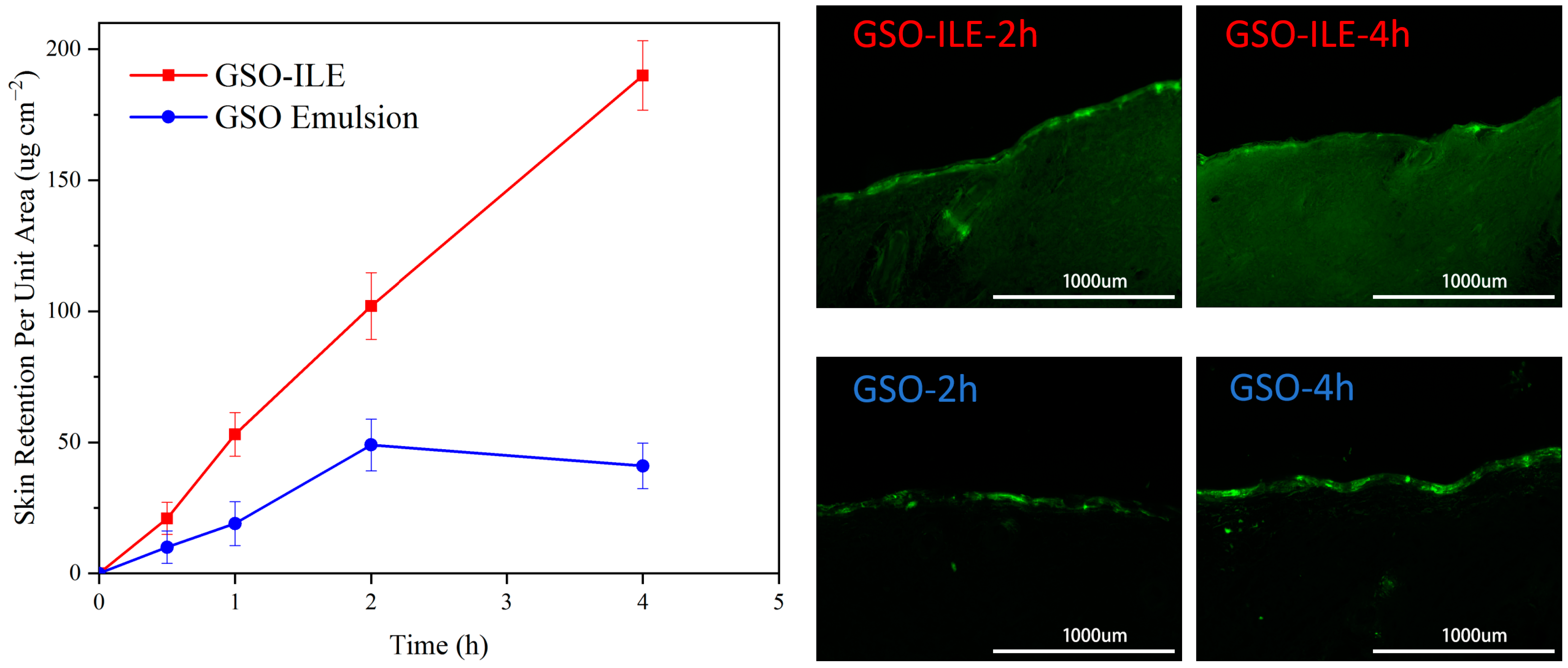 Pharmaceuticals 17 01273 g004