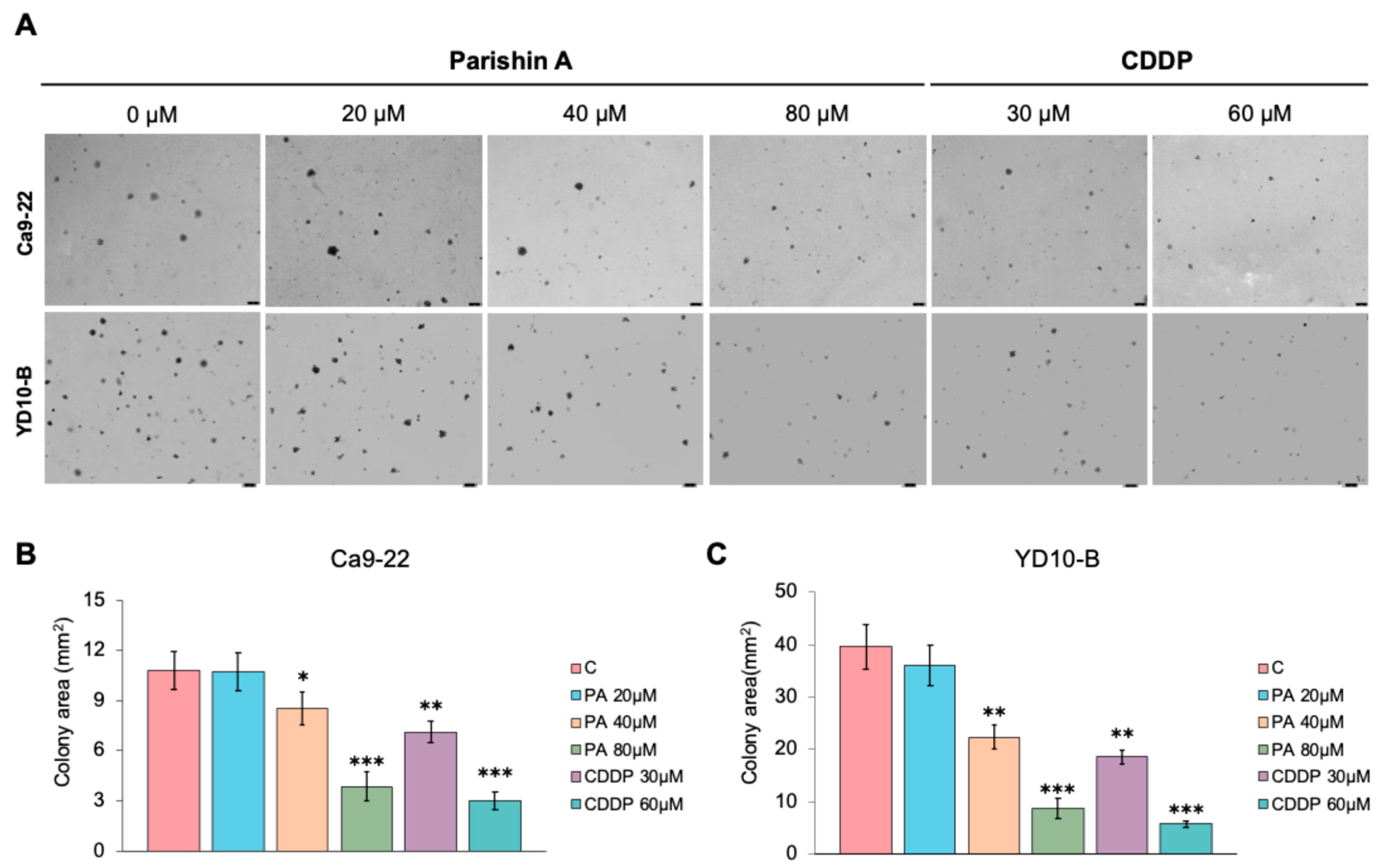 Pharmaceuticals 17 01277 g002