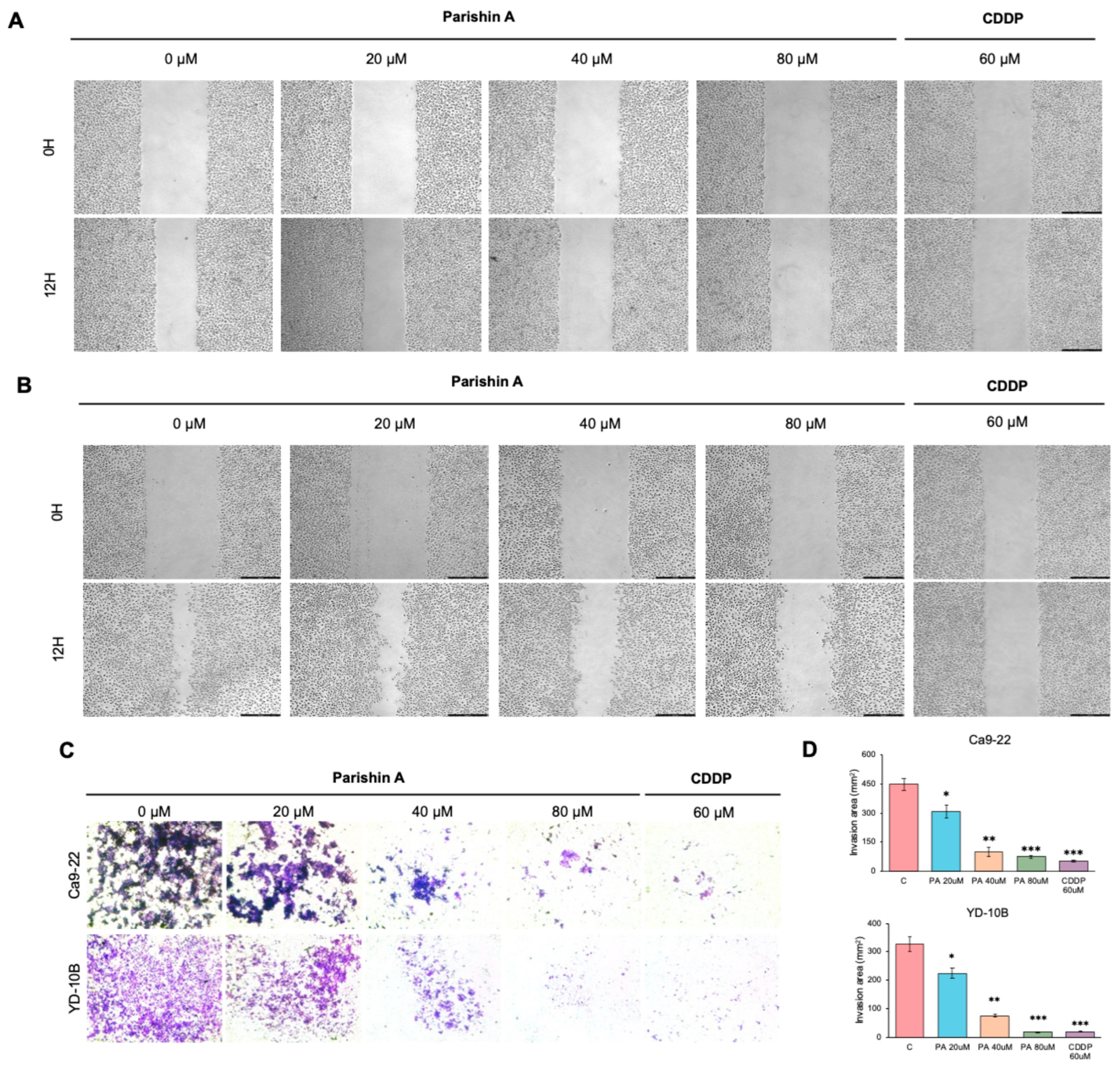 Pharmaceuticals 17 01277 g003
