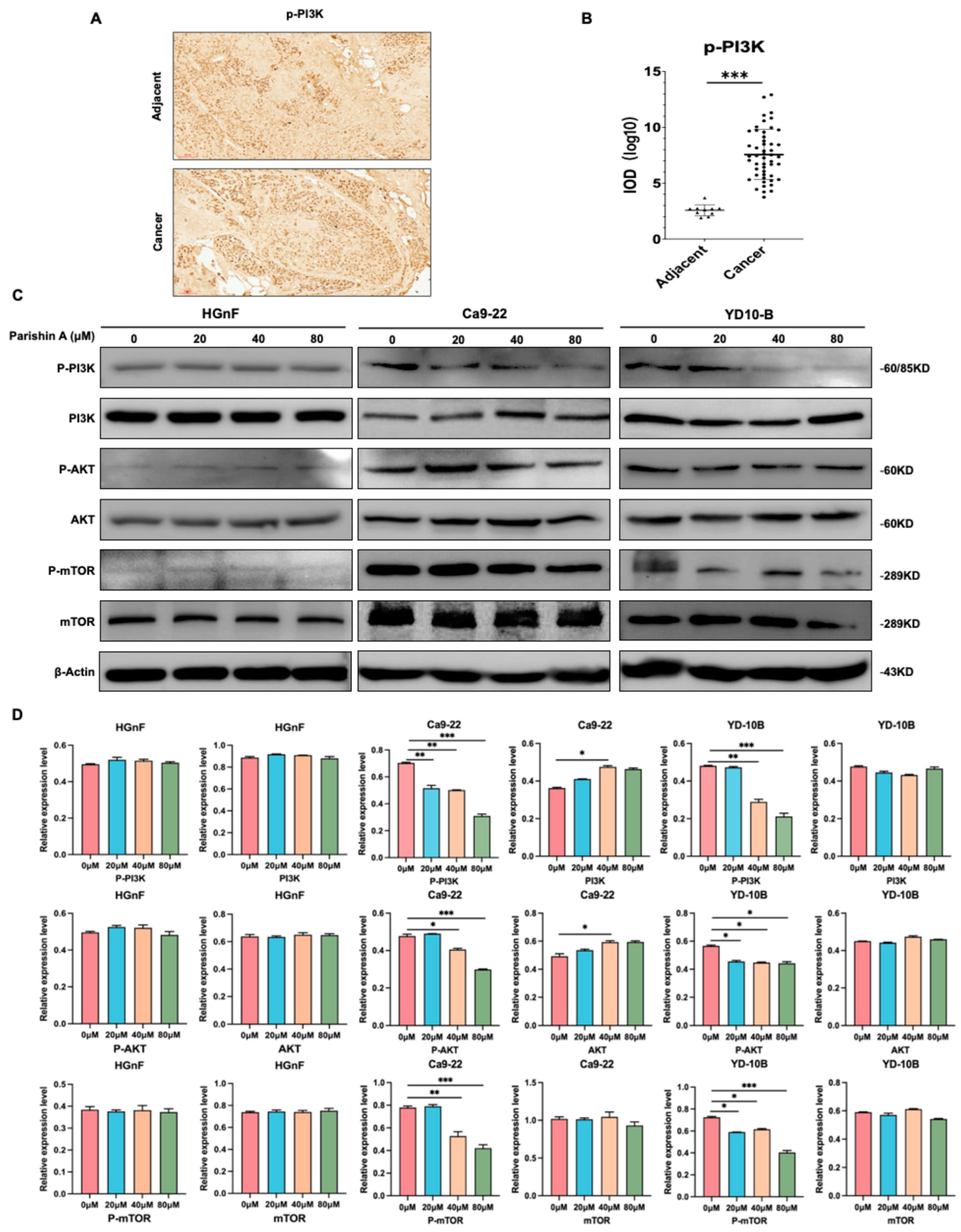 Pharmaceuticals 17 01277 g005