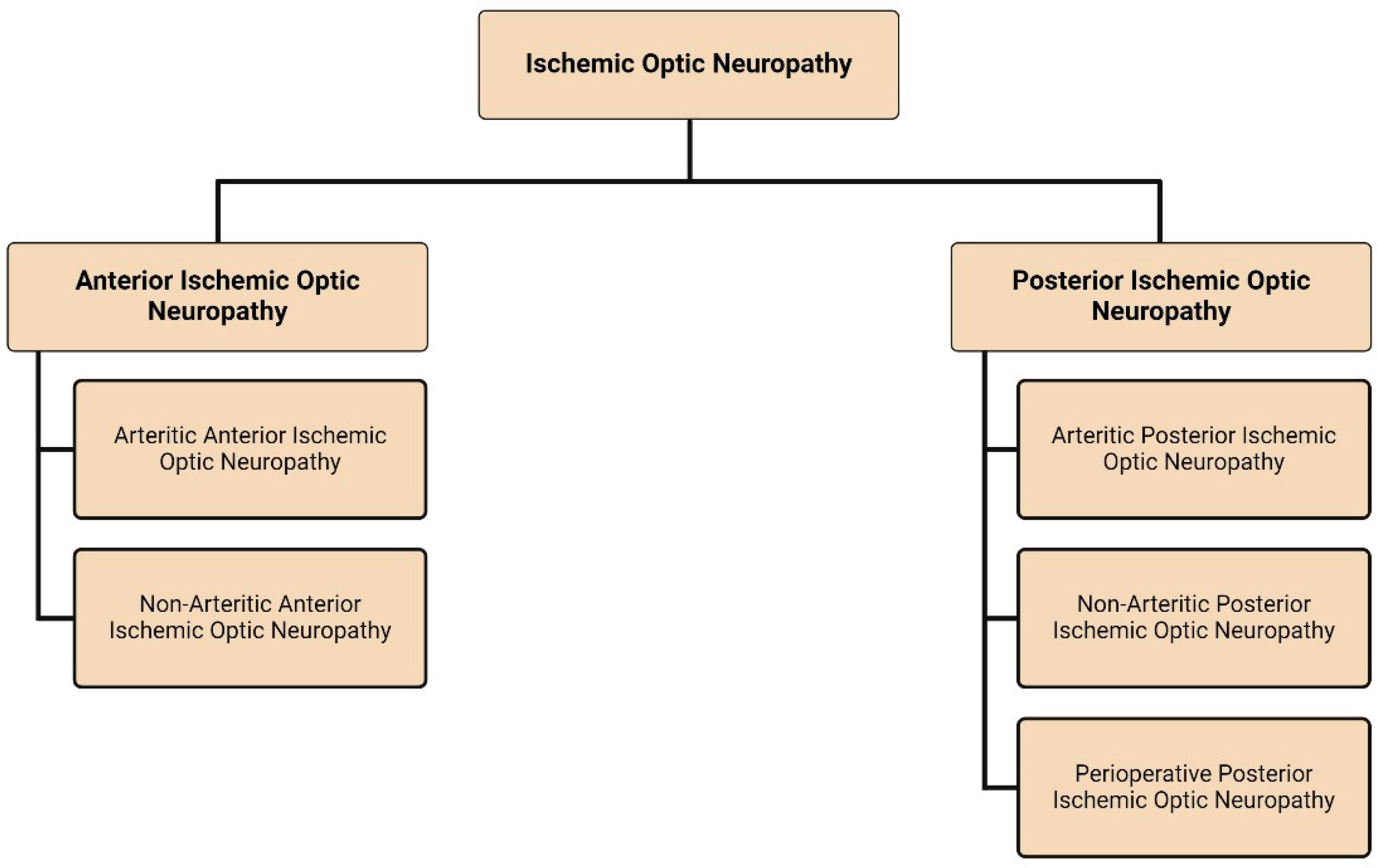 Pharmaceuticals 17 01281 g001