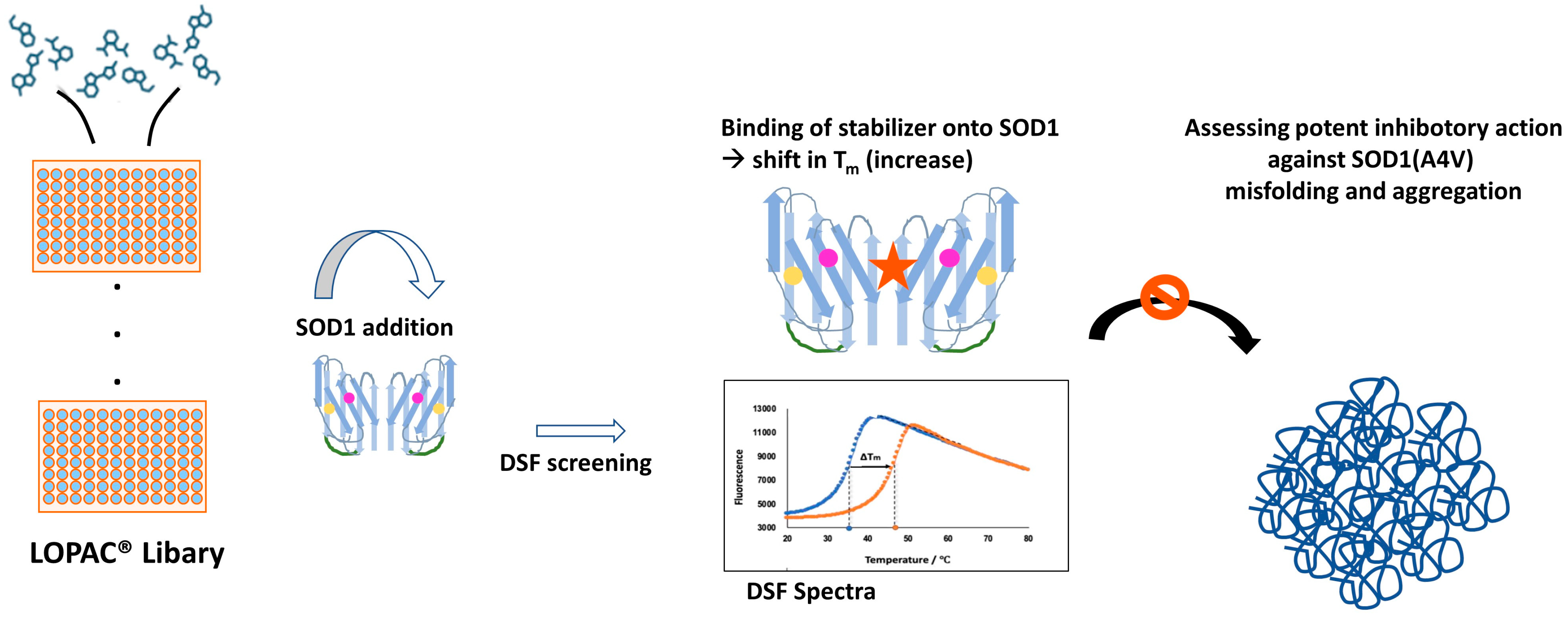Pharmaceuticals 17 01286 g007 Pharmaceuticals 17 01286 g007