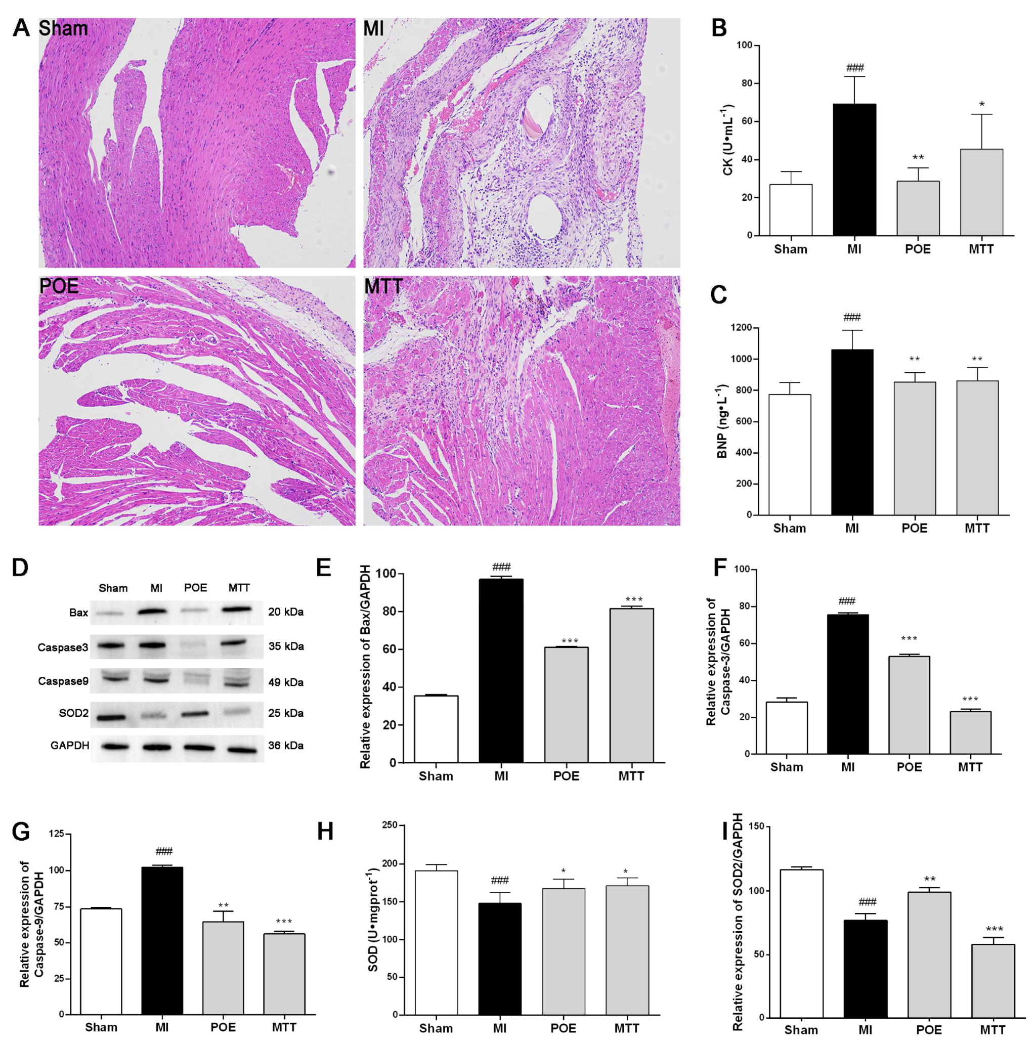 Pharmaceuticals 17 01288 g002