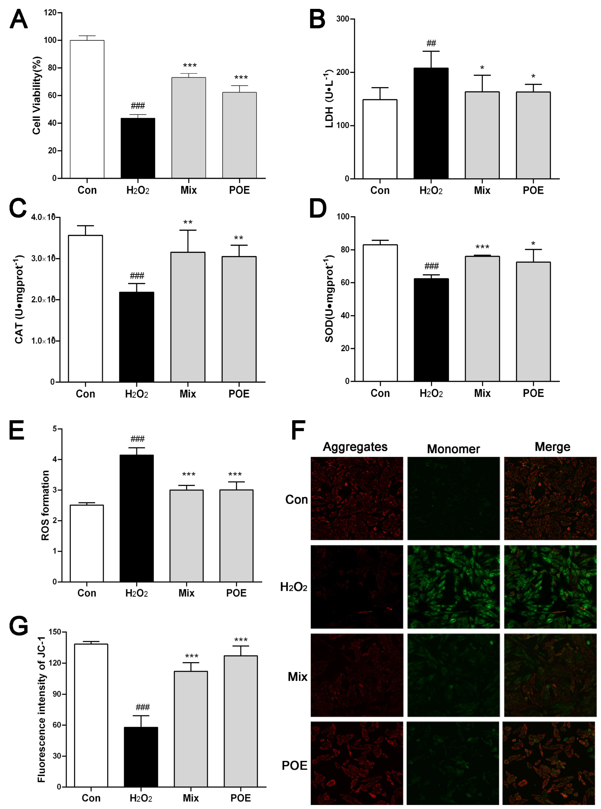 Pharmaceuticals 17 01288 g003