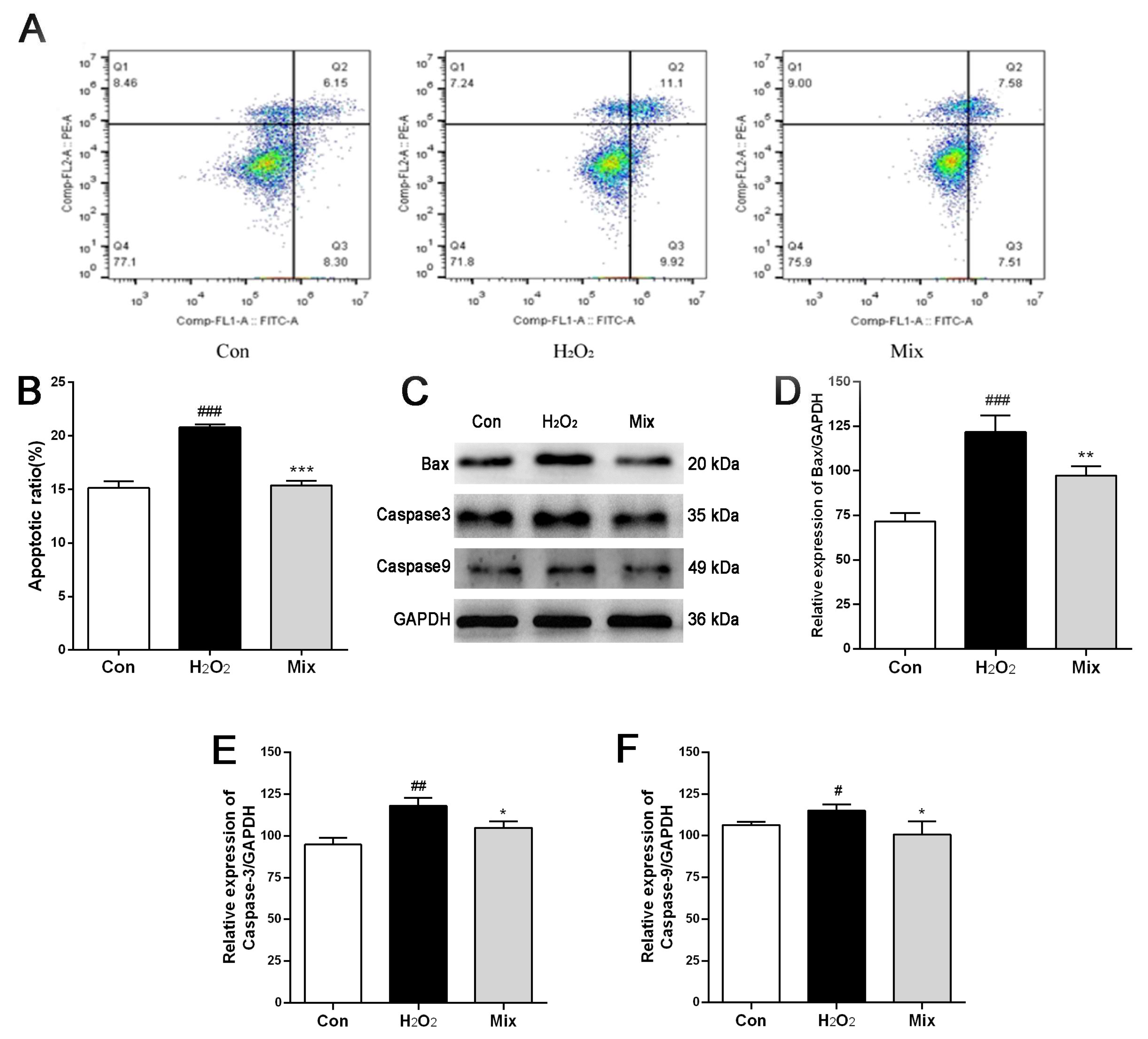 Pharmaceuticals 17 01288 g004