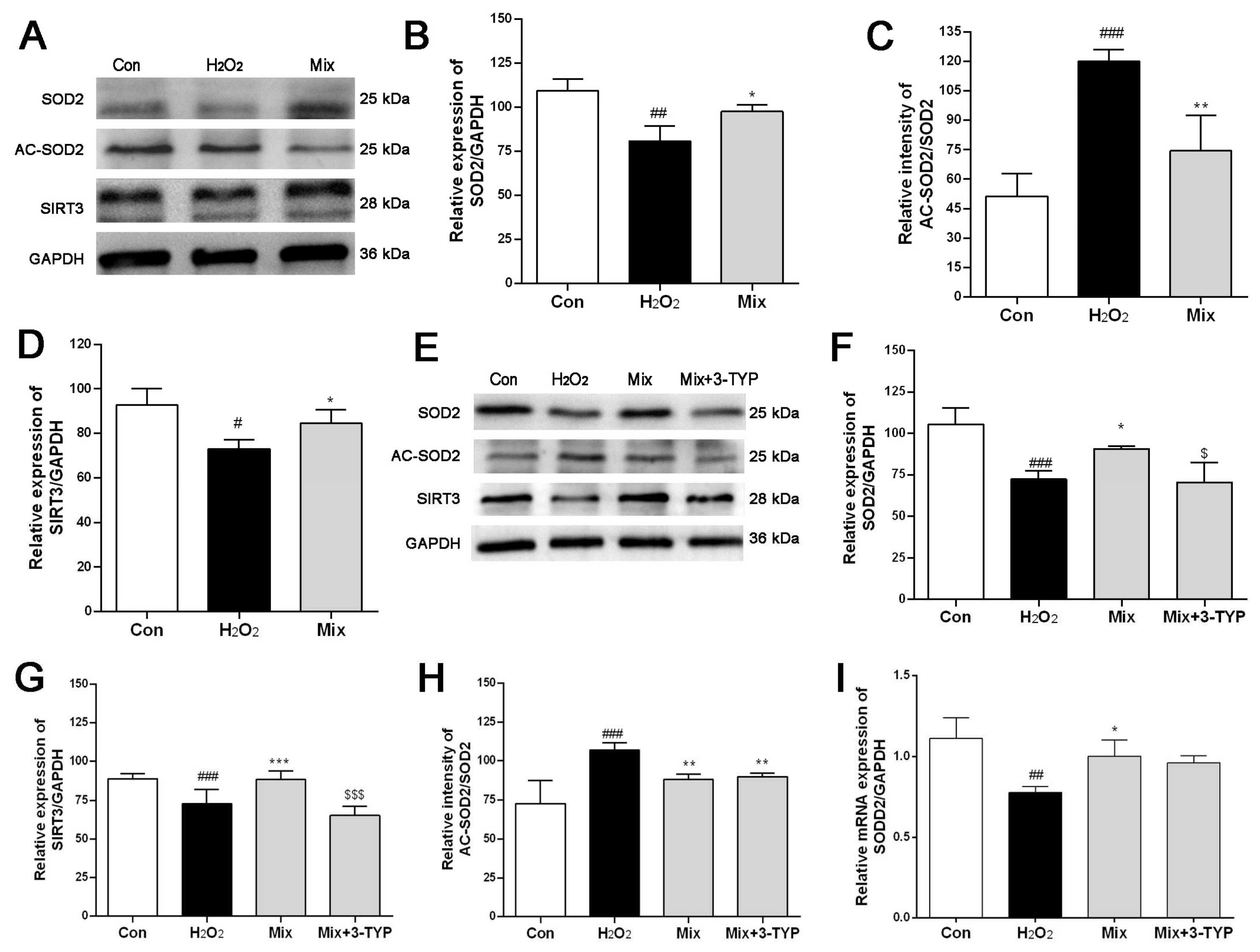 Pharmaceuticals 17 01288 g005