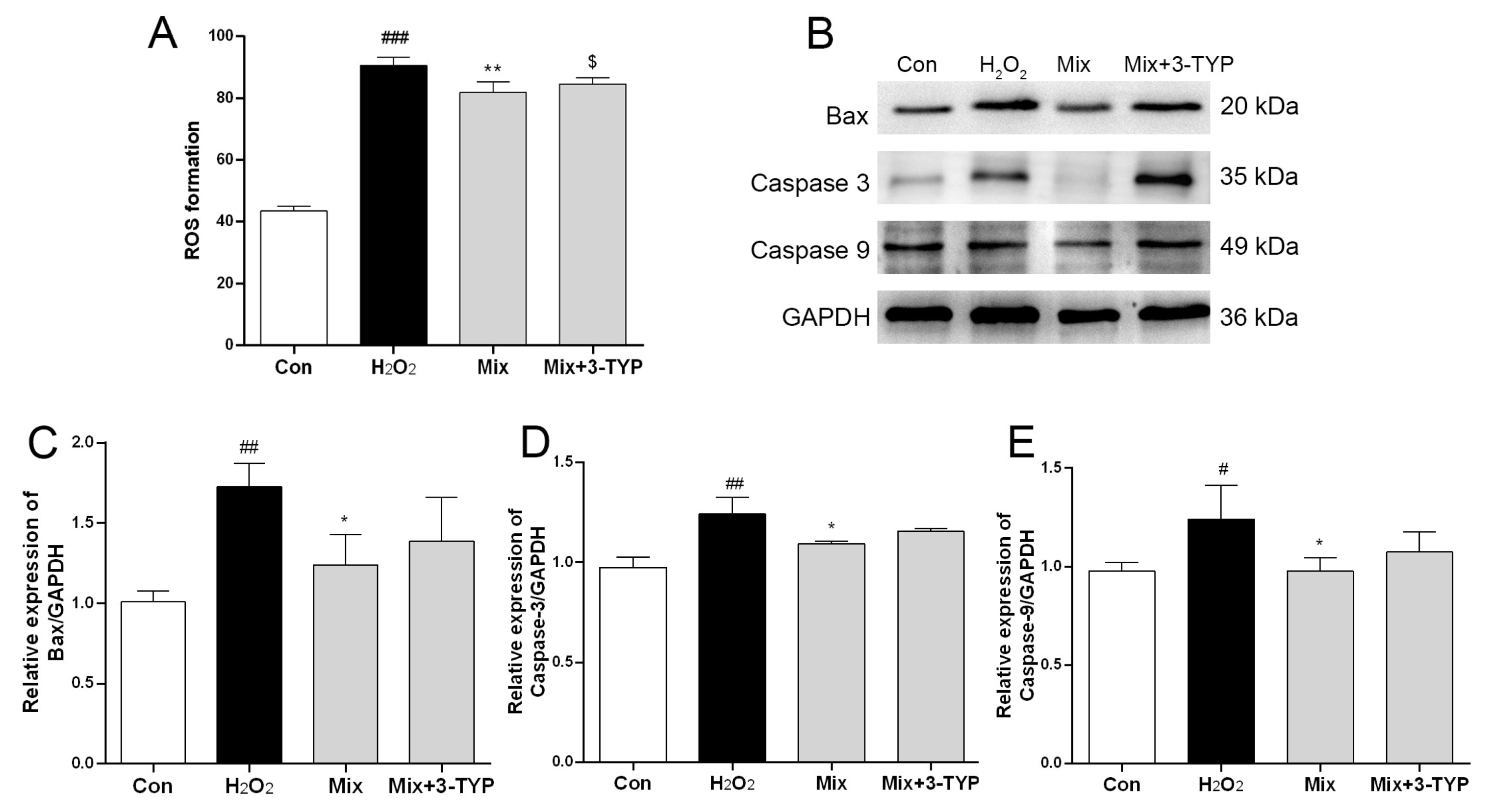 Pharmaceuticals 17 01288 g006