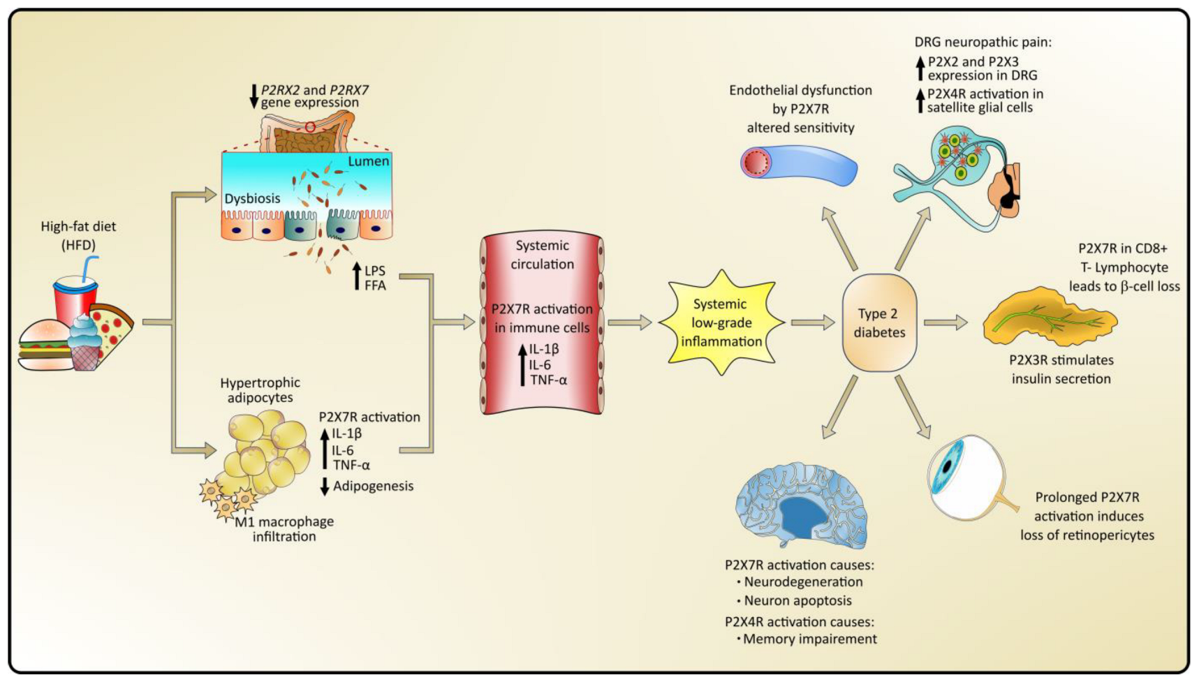 Pharmaceuticals 17 01291 g002