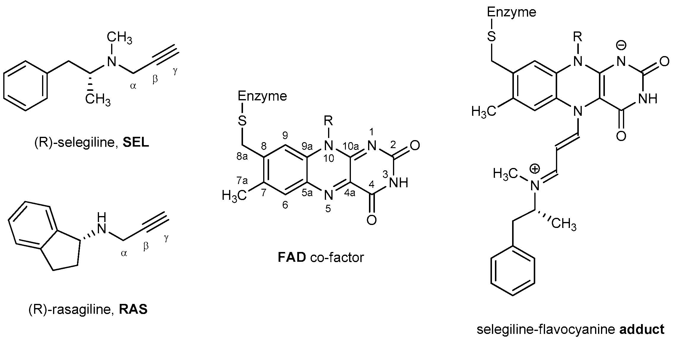Pharmaceuticals 17 01292 g001