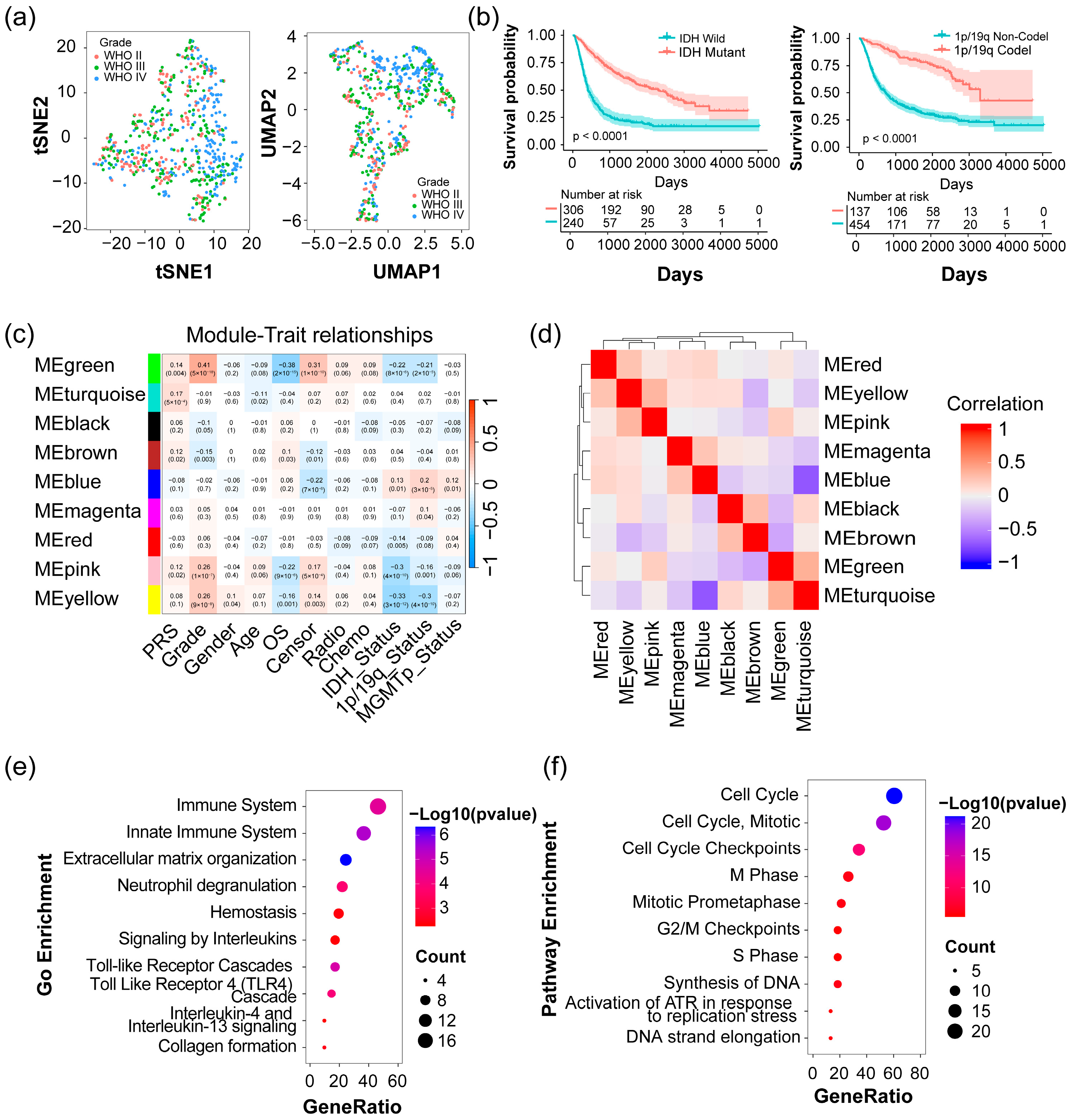 Pharmaceuticals 17 01295 g001