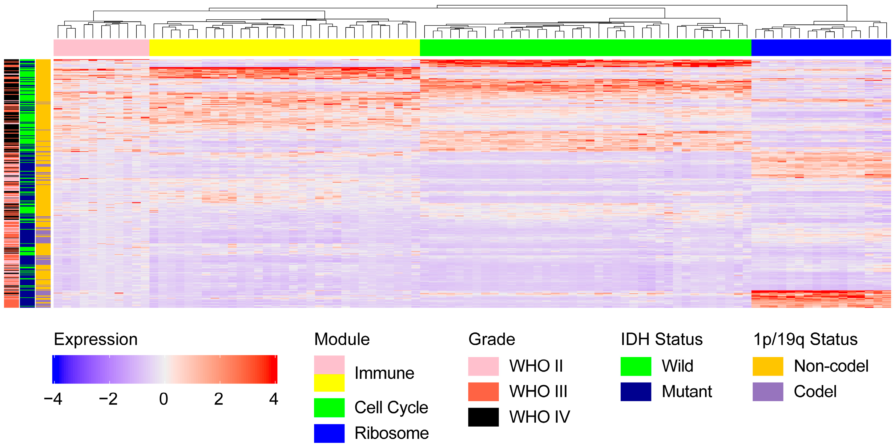 Pharmaceuticals 17 01295 g002