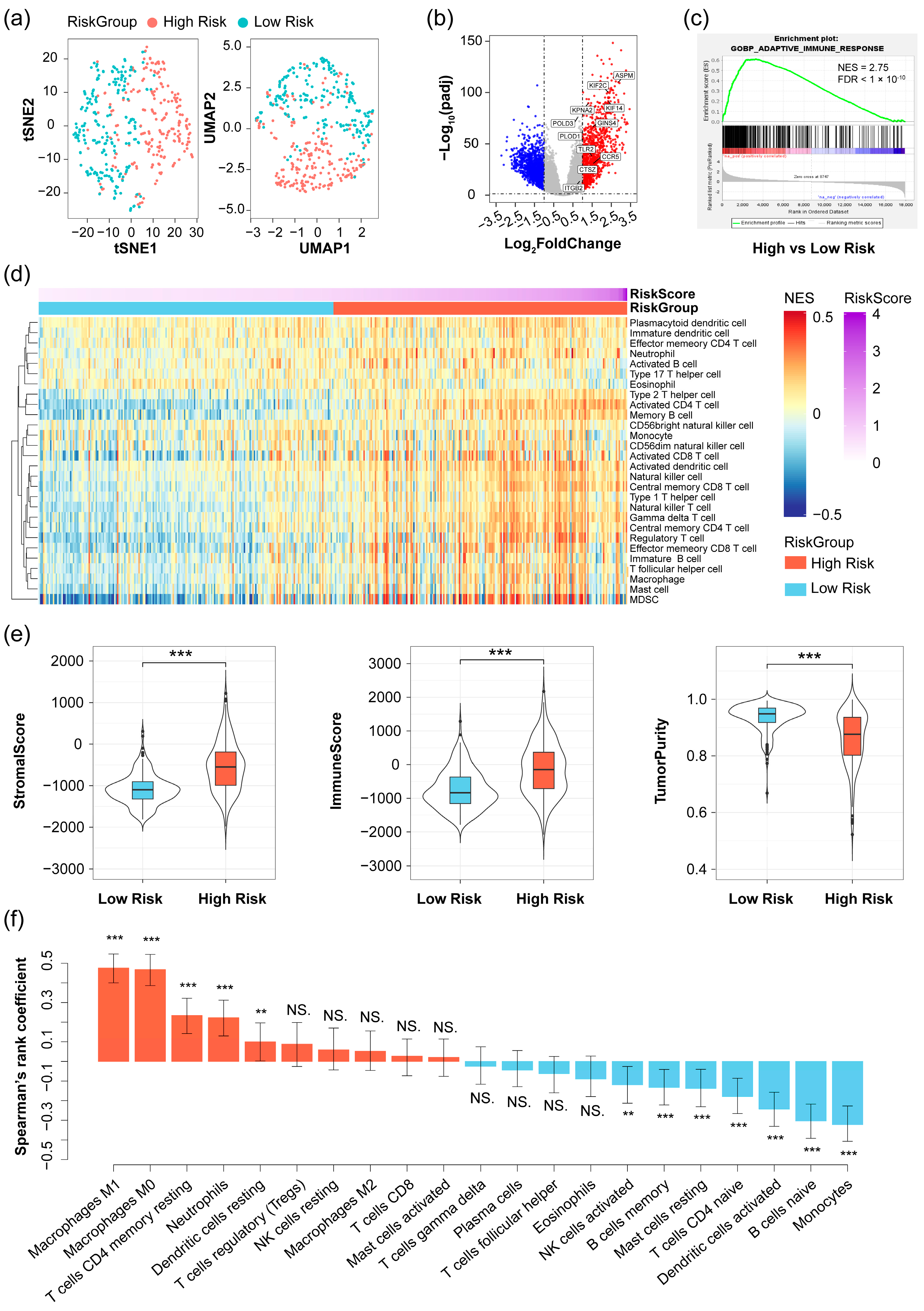 Pharmaceuticals 17 01295 g006