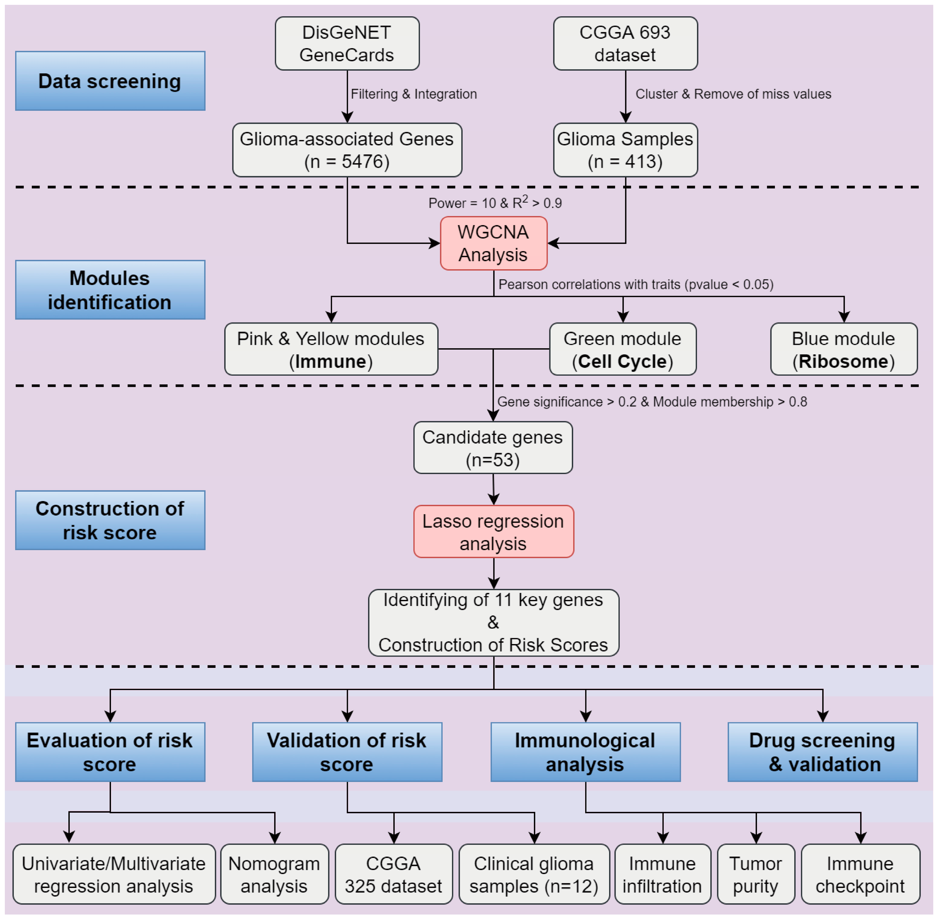 Pharmaceuticals 17 01295 g009