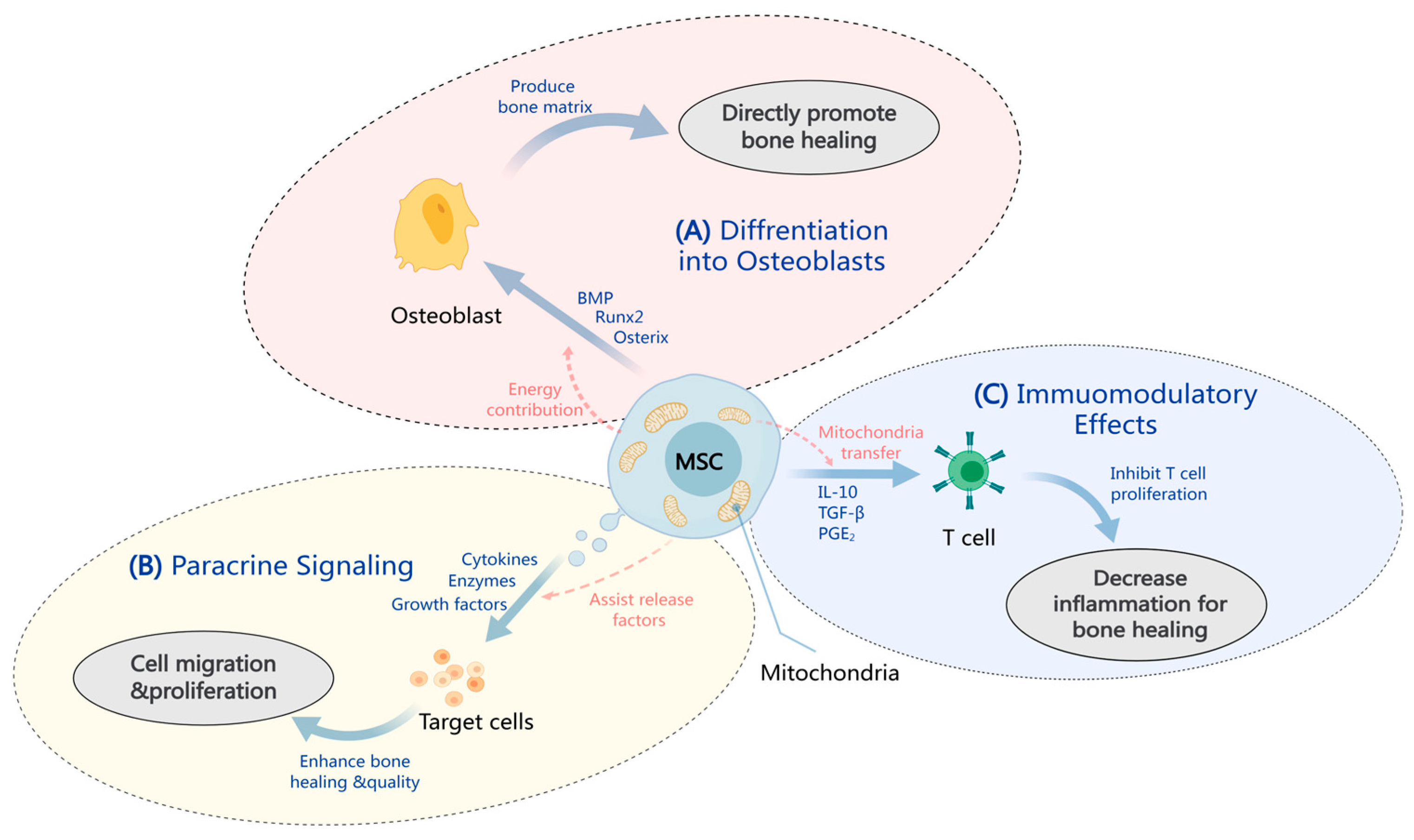Pharmaceuticals 17 01297 g001 Pharmaceuticals 17 01297 g001