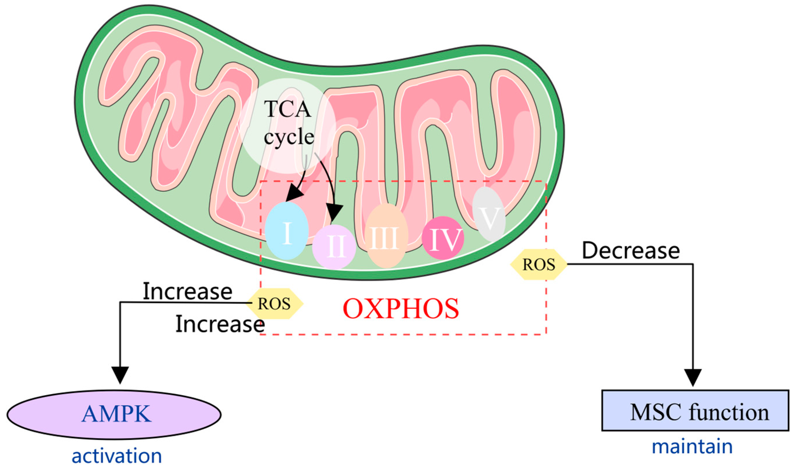 Pharmaceuticals 17 01297 g002 Pharmaceuticals 17 01297 g002
