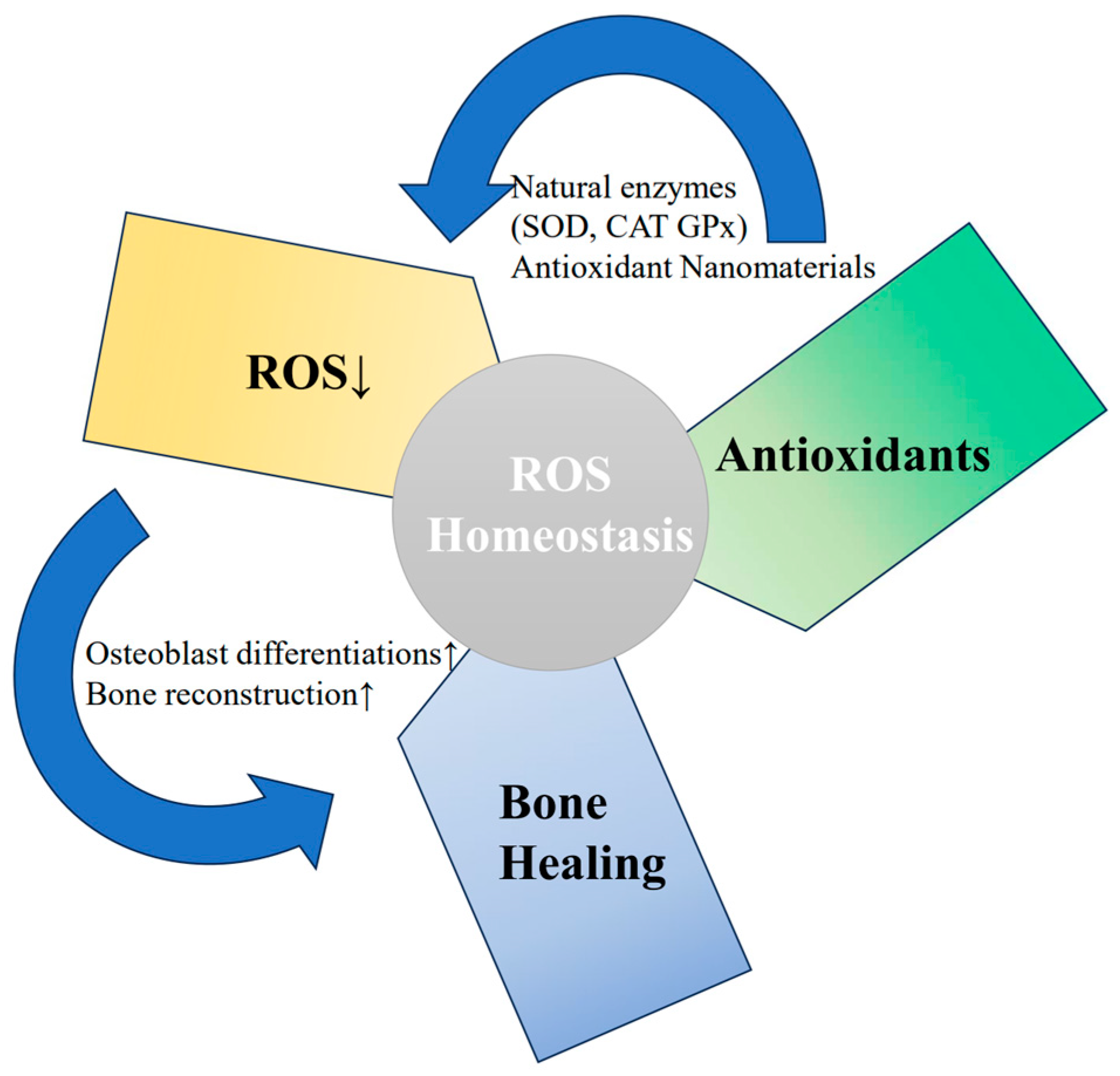 Pharmaceuticals 17 01297 g003 Pharmaceuticals 17 01297 g003