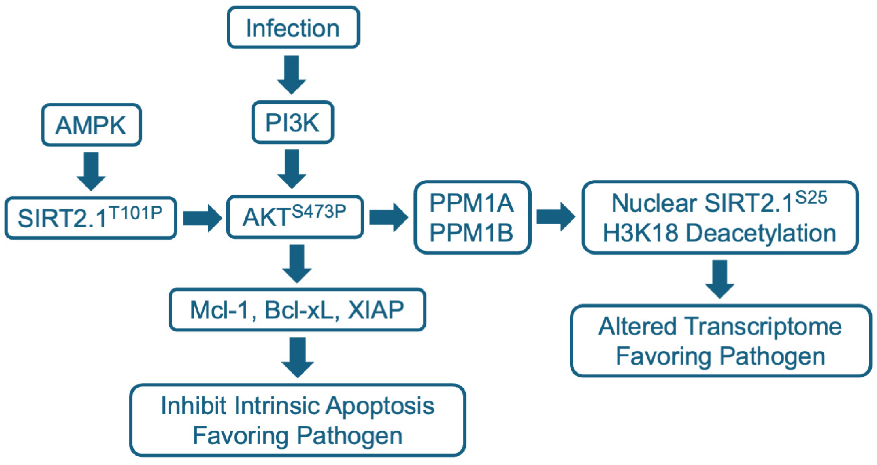 Pharmaceuticals 17 01298 g003