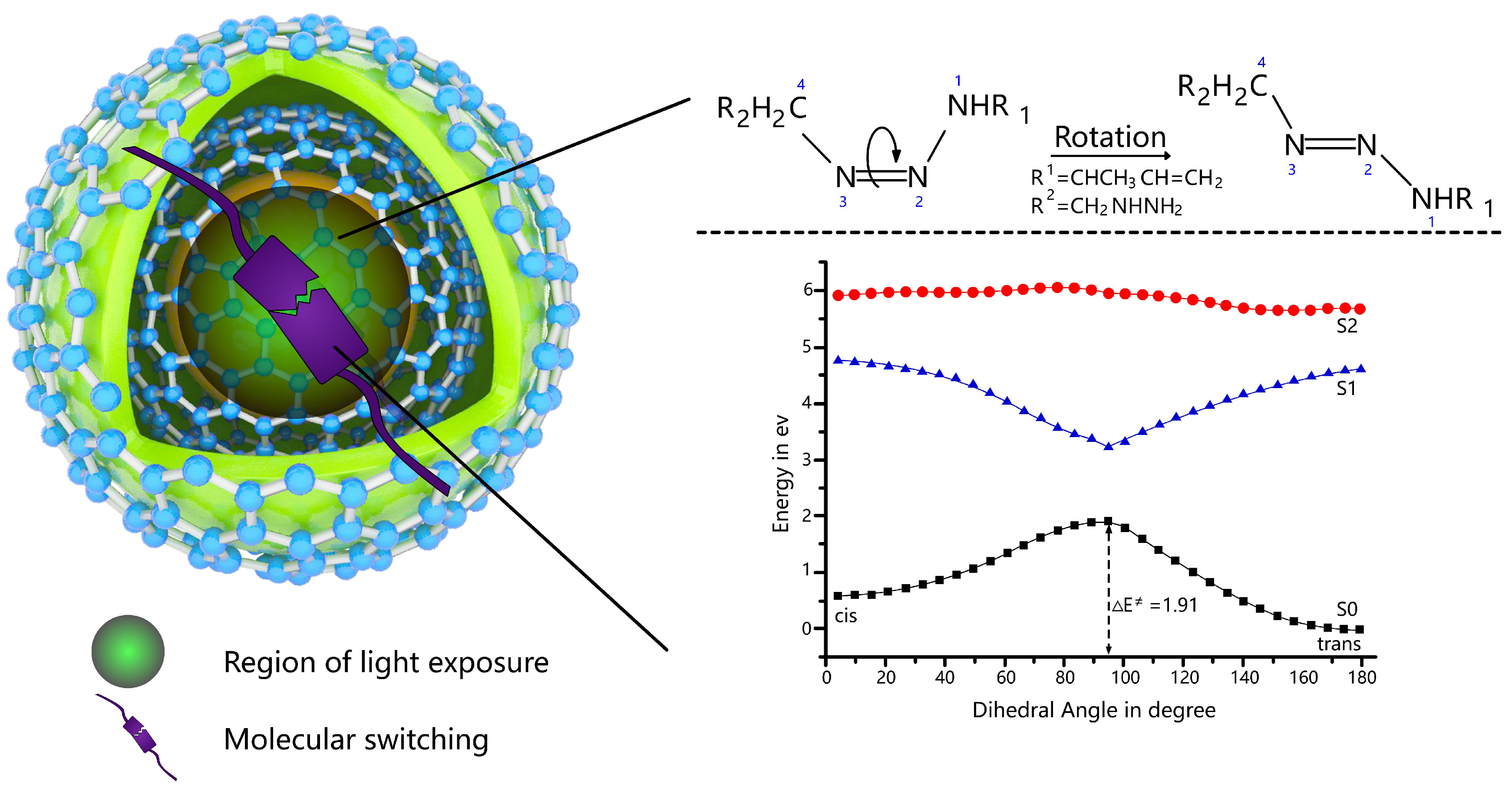 Pharmaceuticals 17 01300 g005